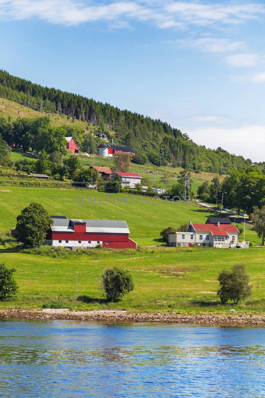 Typical scandinavian landscape with meadows and village. Houses with red walls and roofs. Norway.