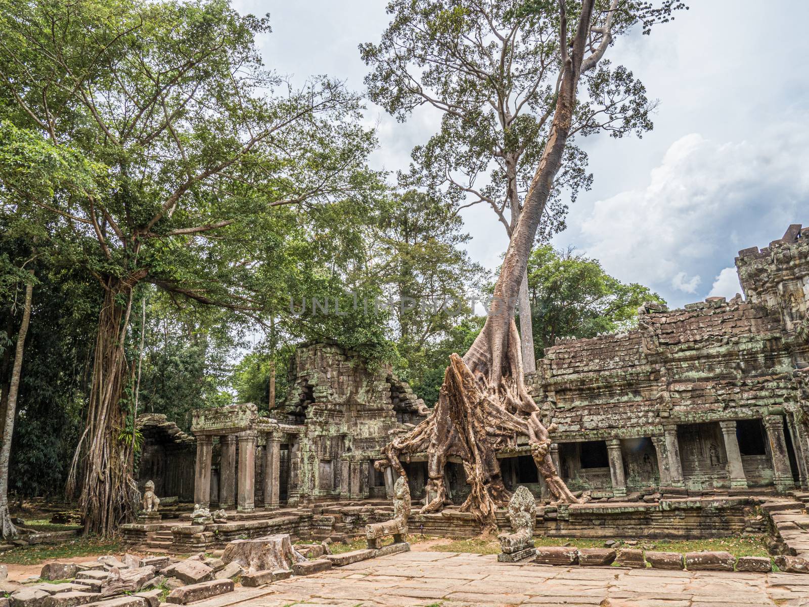 detail of Cambodia's Angkor wat temples