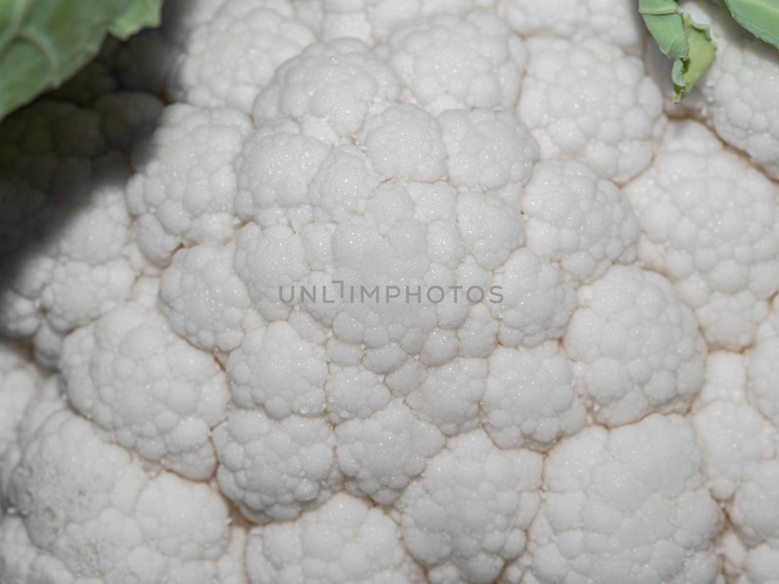 macro detail of a cauliflower