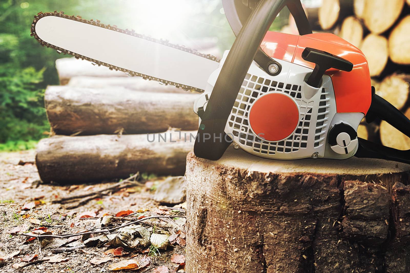 Generic chainsaw on a tree trunk during a felling of the forest in the rays of the sun