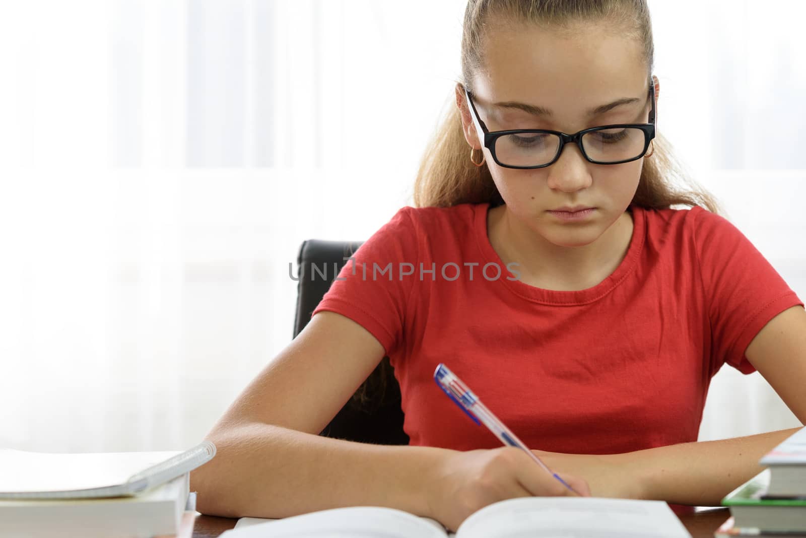 Portrait of a student doing homework by wdnet_studio