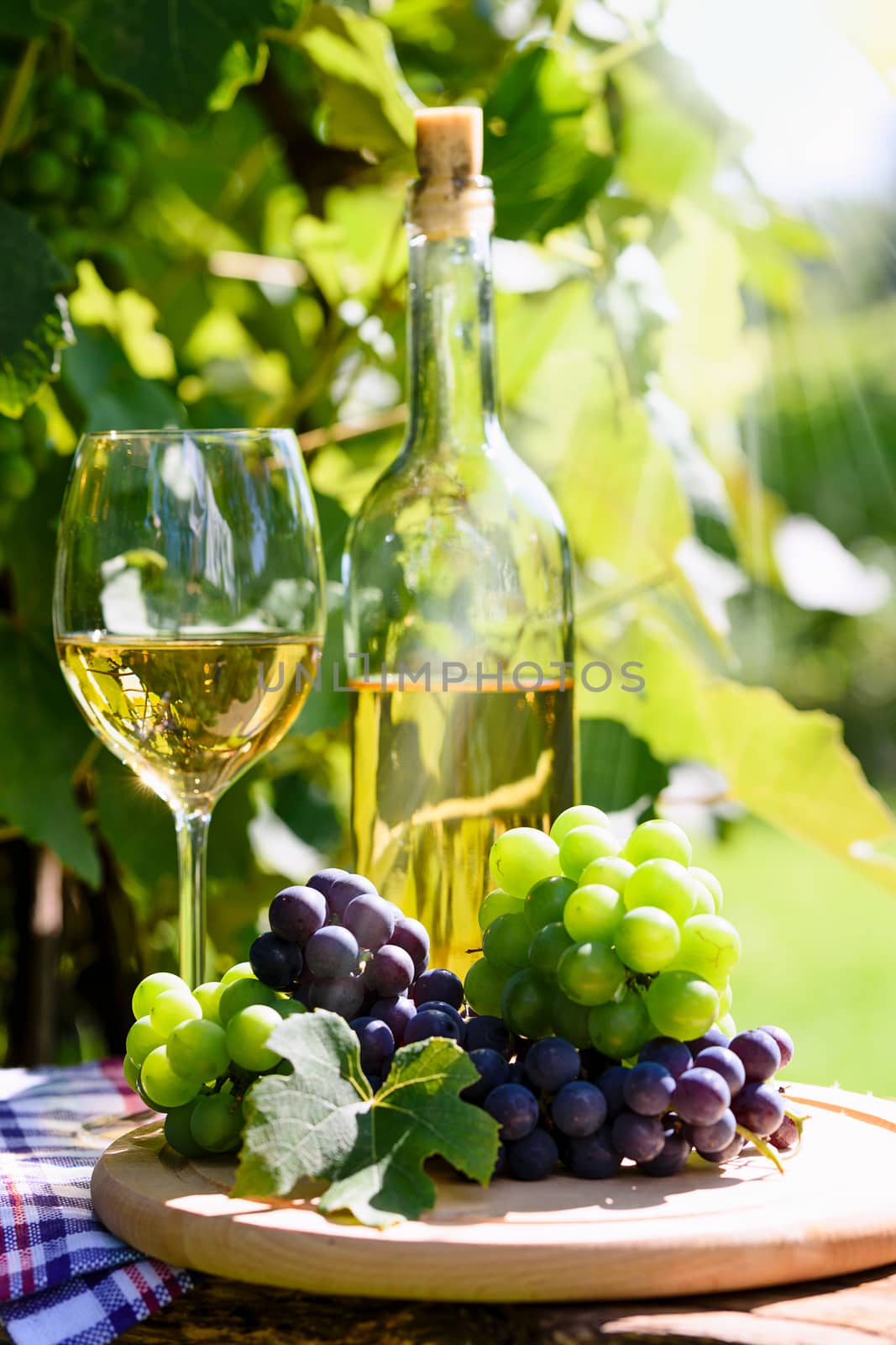 Wine and fresh grapes in a rustic vineyard by wdnet_studio