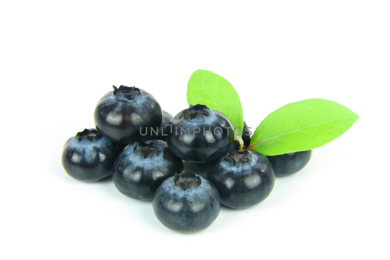 Group of fresh blueberries with leaves isolated on white background.
