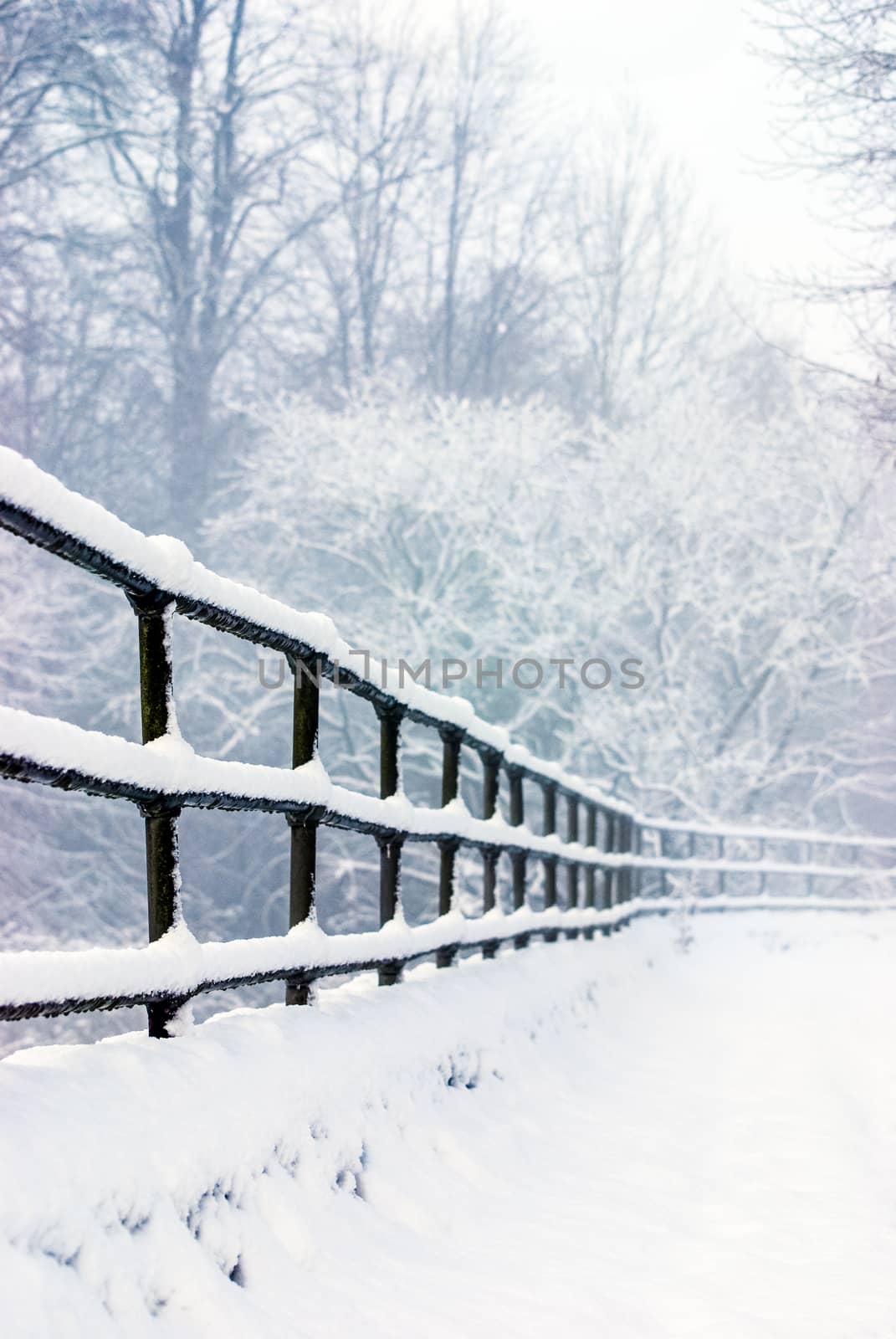 Close-up of railings covered in a soft layer of snow