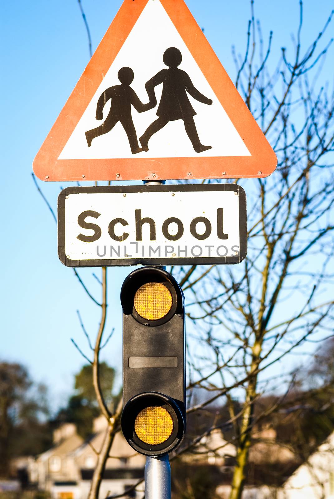 British School roadside warning sign with tree behind by paddythegolfer