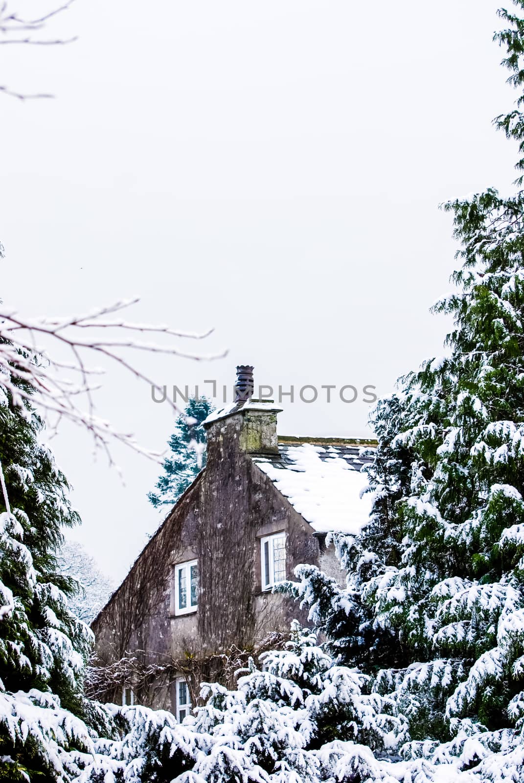 House in a snowy forest In Lake District Cumbria
