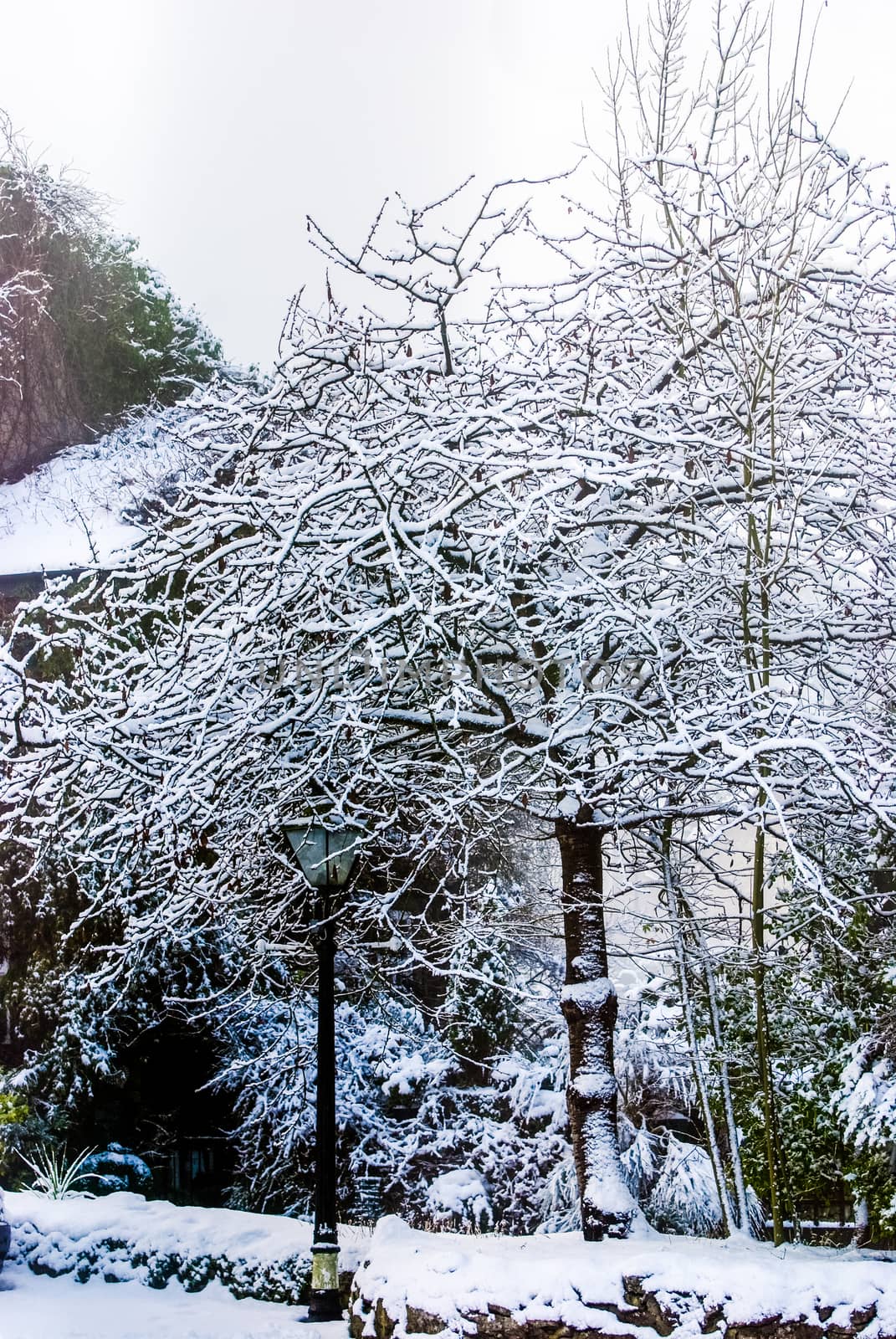 Snowy Road through a Lake District Landscape in Winter by paddythegolfer