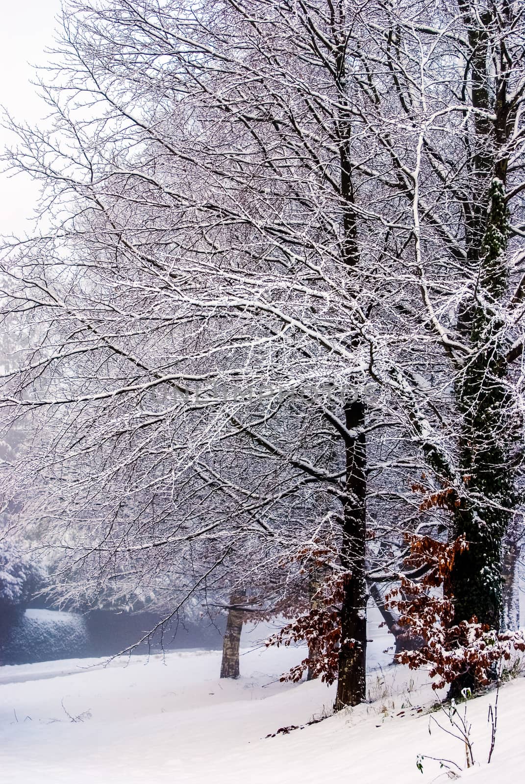 Snowy Road through a Lake District Landscape in Winter by paddythegolfer