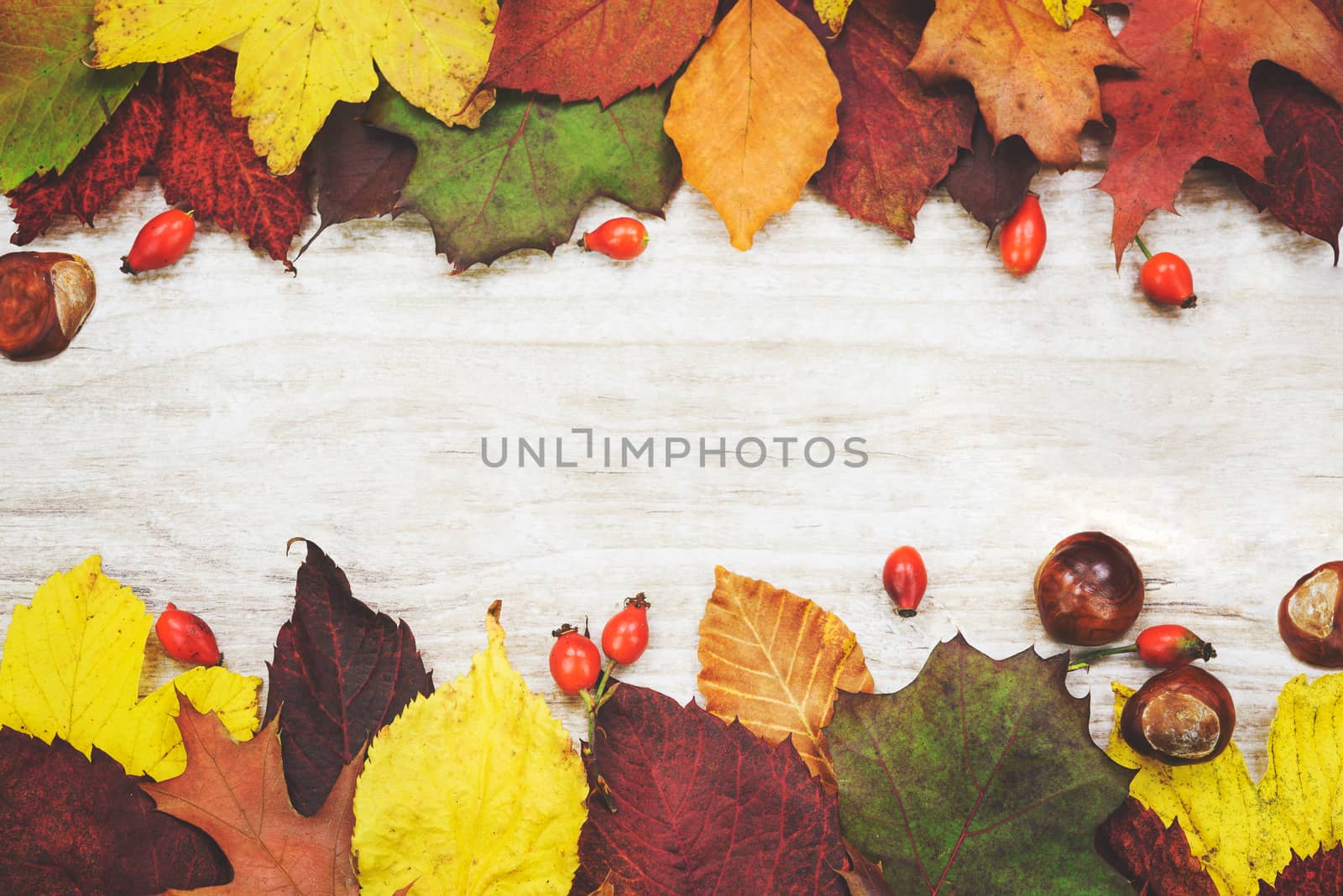 Beautiful autumn background - multicolored leaves, wild rose and chestnuts on a wooden table with copy place (vintage effect)