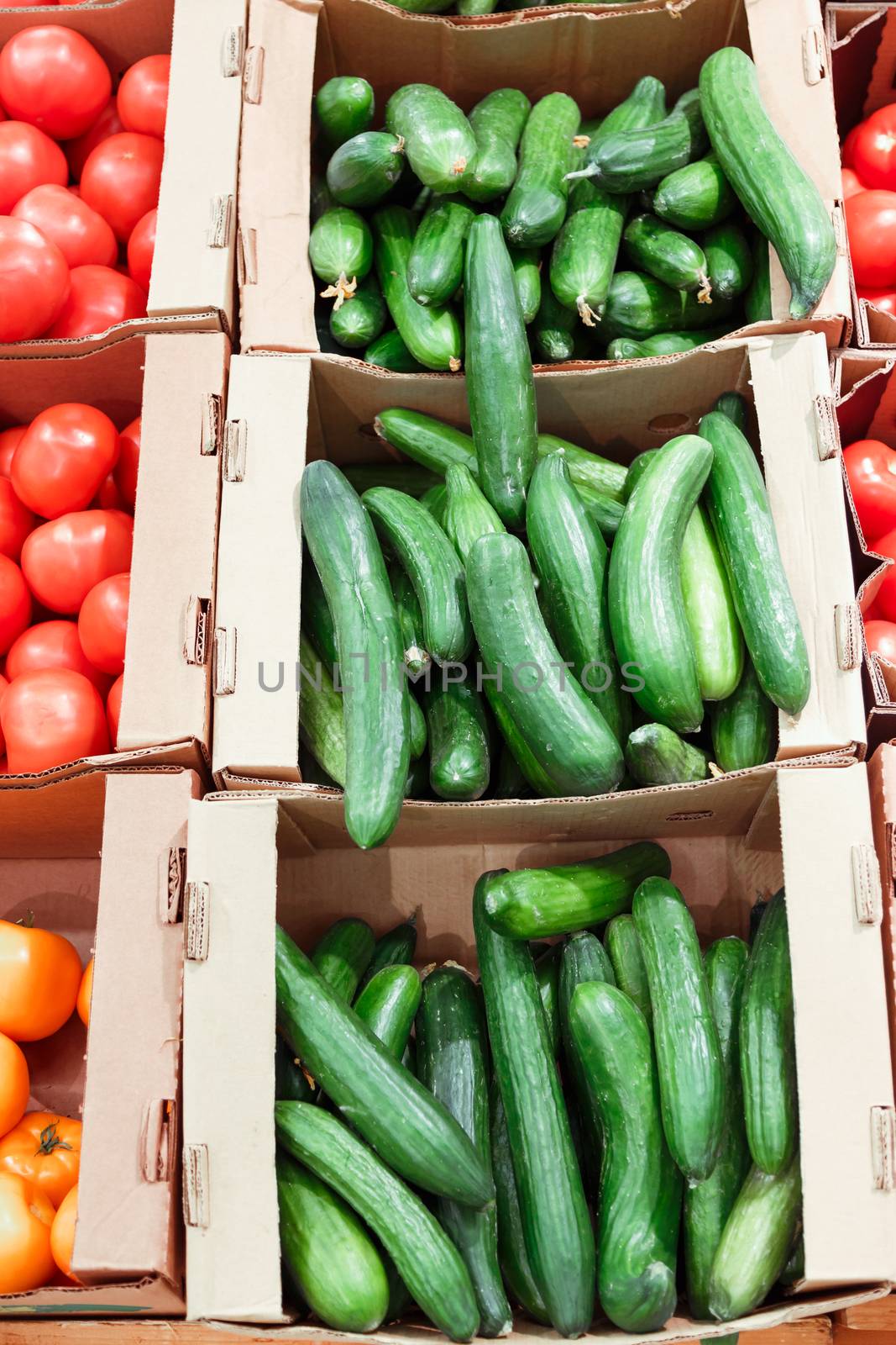 boxes with cucumbers in supermarket. Healthy Eating by vladdeep