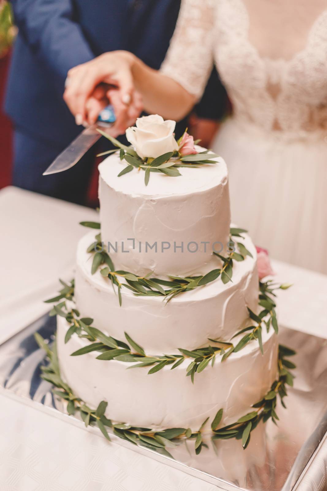 Happy wedding couple carving delicious wedding cake