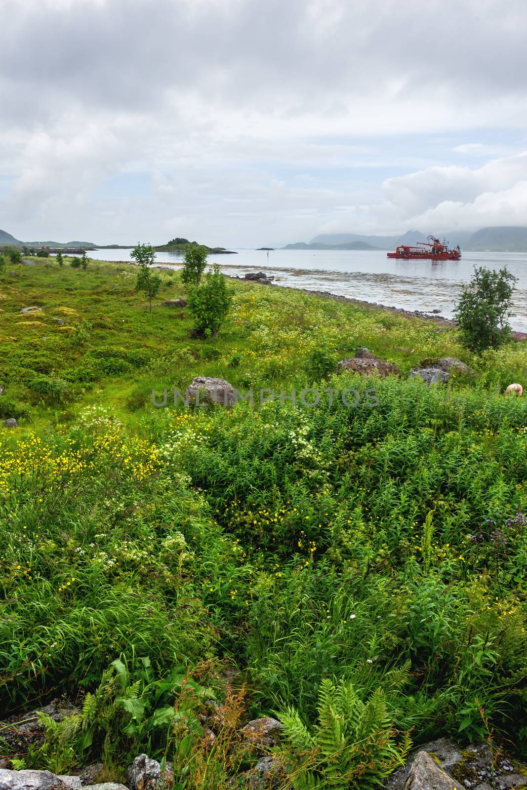 Special purpose ship in the waters of Lofoten archipelago. Typical scandinavian landscape with meadows, mountains and fjords. Lofoten islands, Norway.