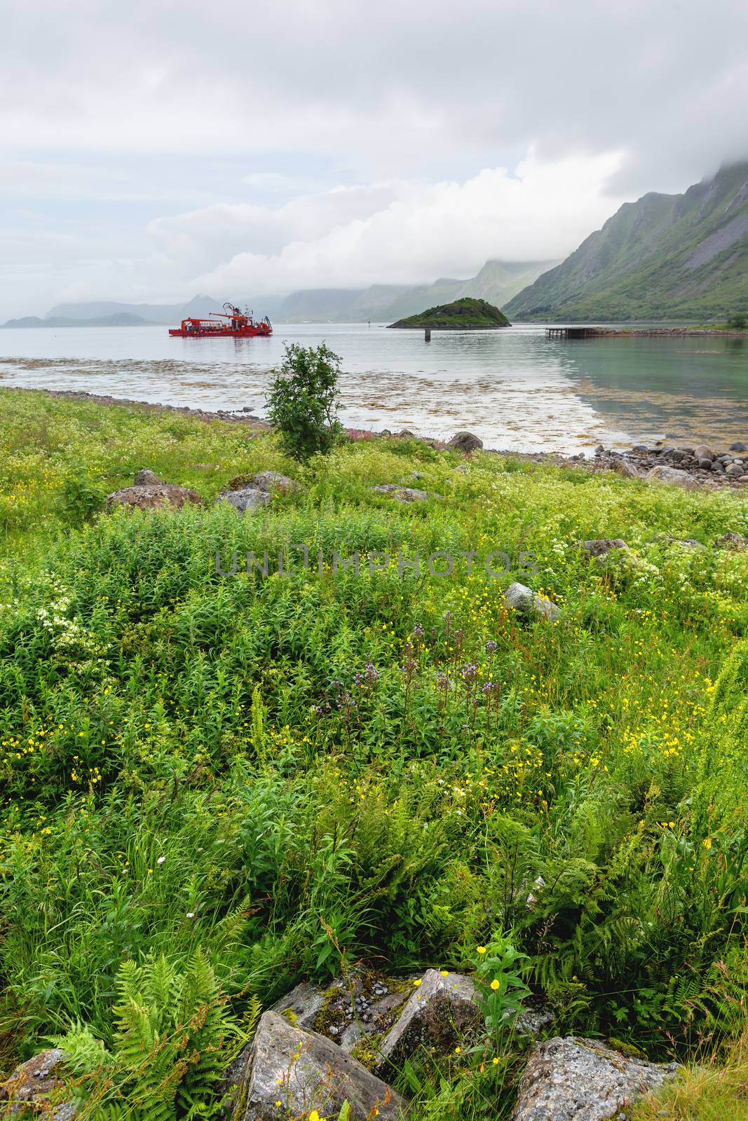 Special purpose ship in the waters of Lofoten archipelago. Typical scandinavian landscape with meadows, mountains and fjords. Lofoten islands, Norway.