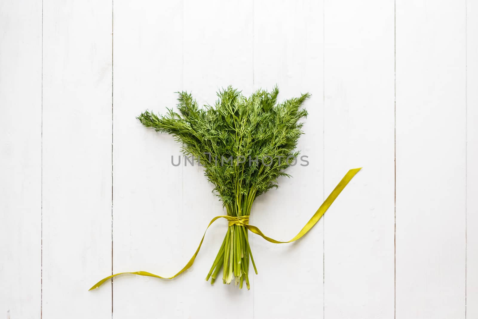 Bunch of fresh dill with ribbon on white wooden rustic background.