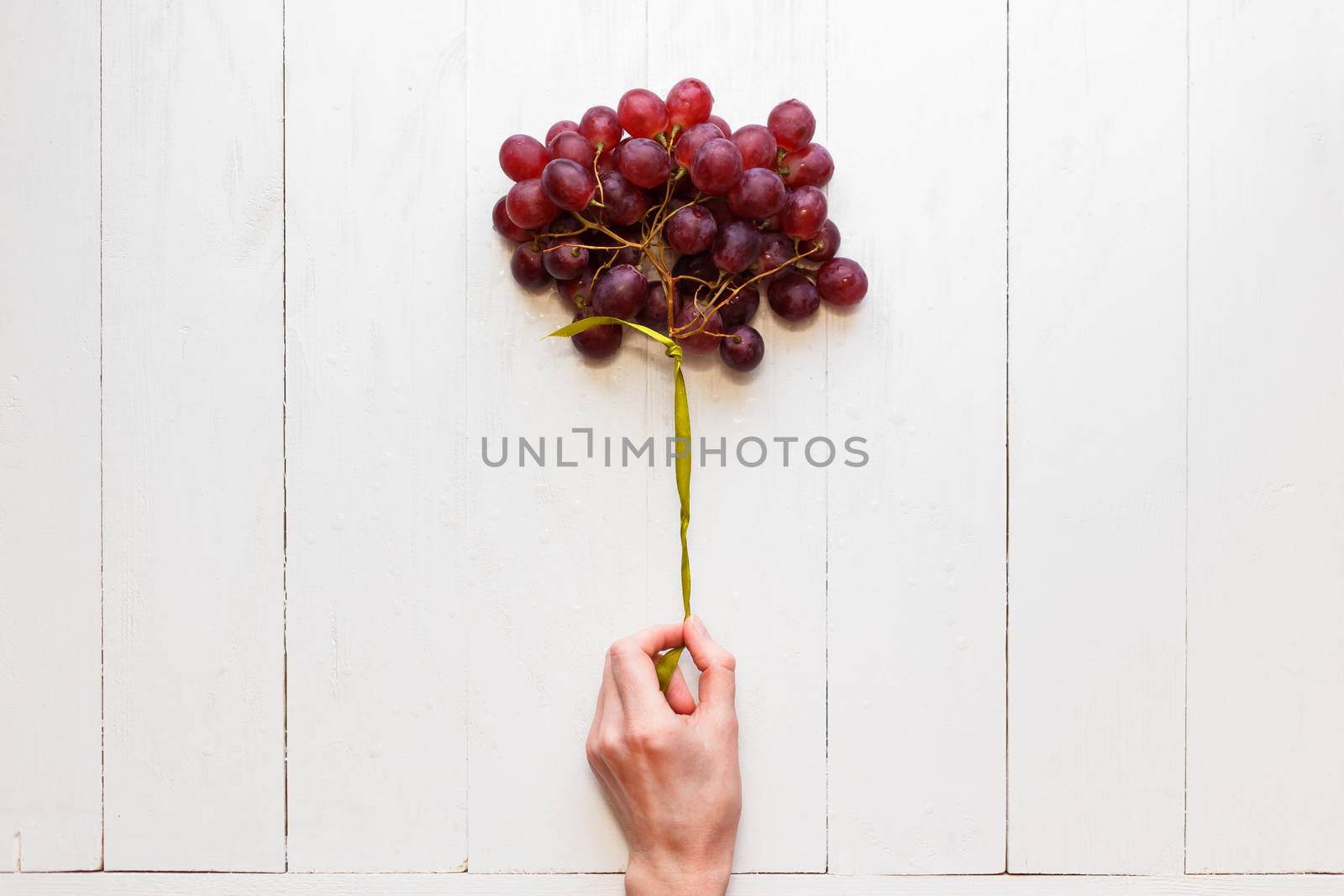 A bunch of grapes tied with a ribbon in a woman's hand on a white wooden background. View from above. Grapes like balloons. The concept of easy and healthy food by vladdeep