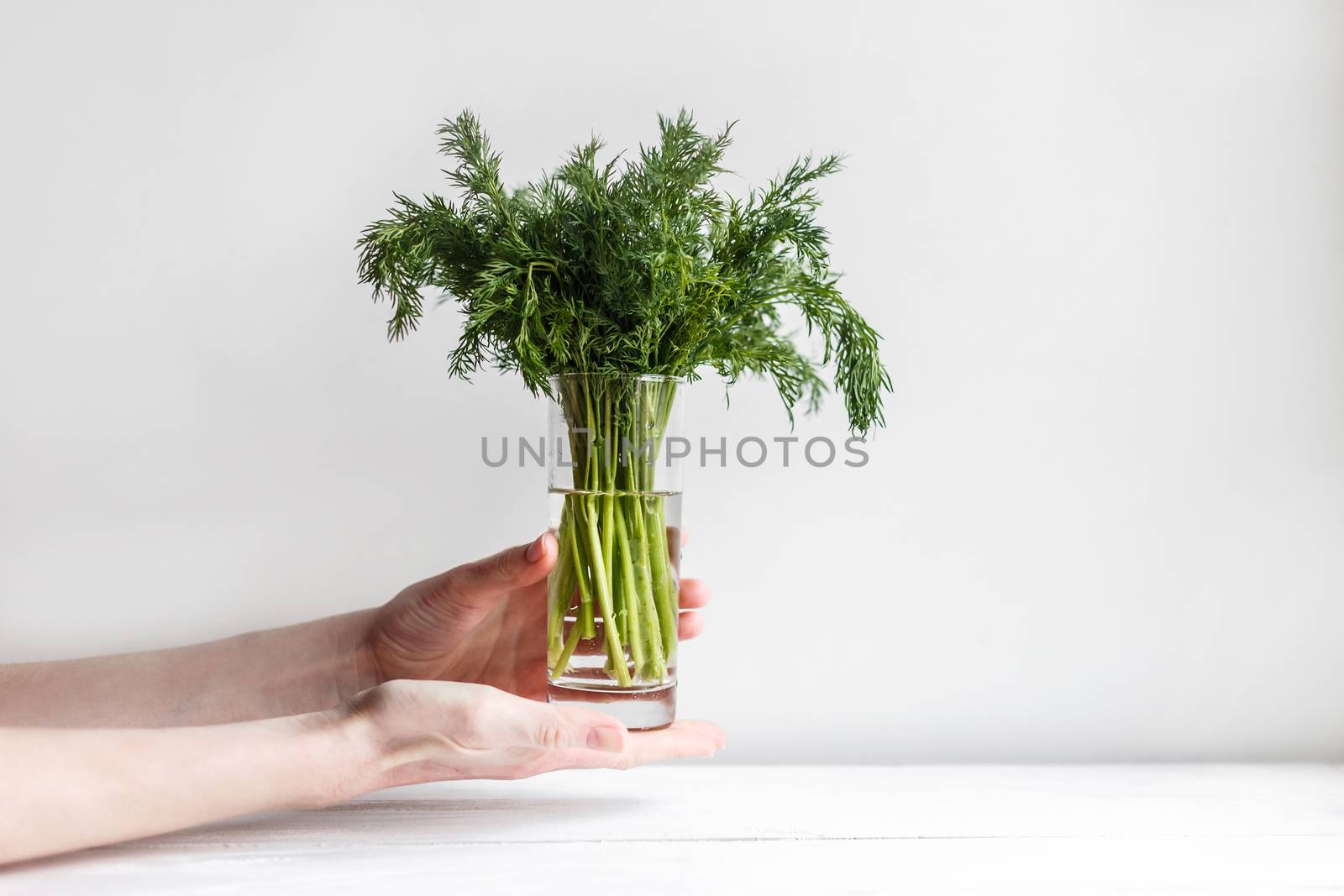 Female hands keeps fresh fennel in a glass with water