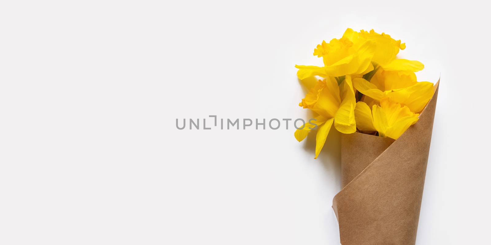 Bouquet of Narcissus or daffodils in craft wrapping paper. Bright yellow flowers on white background. Banner with copy space.
