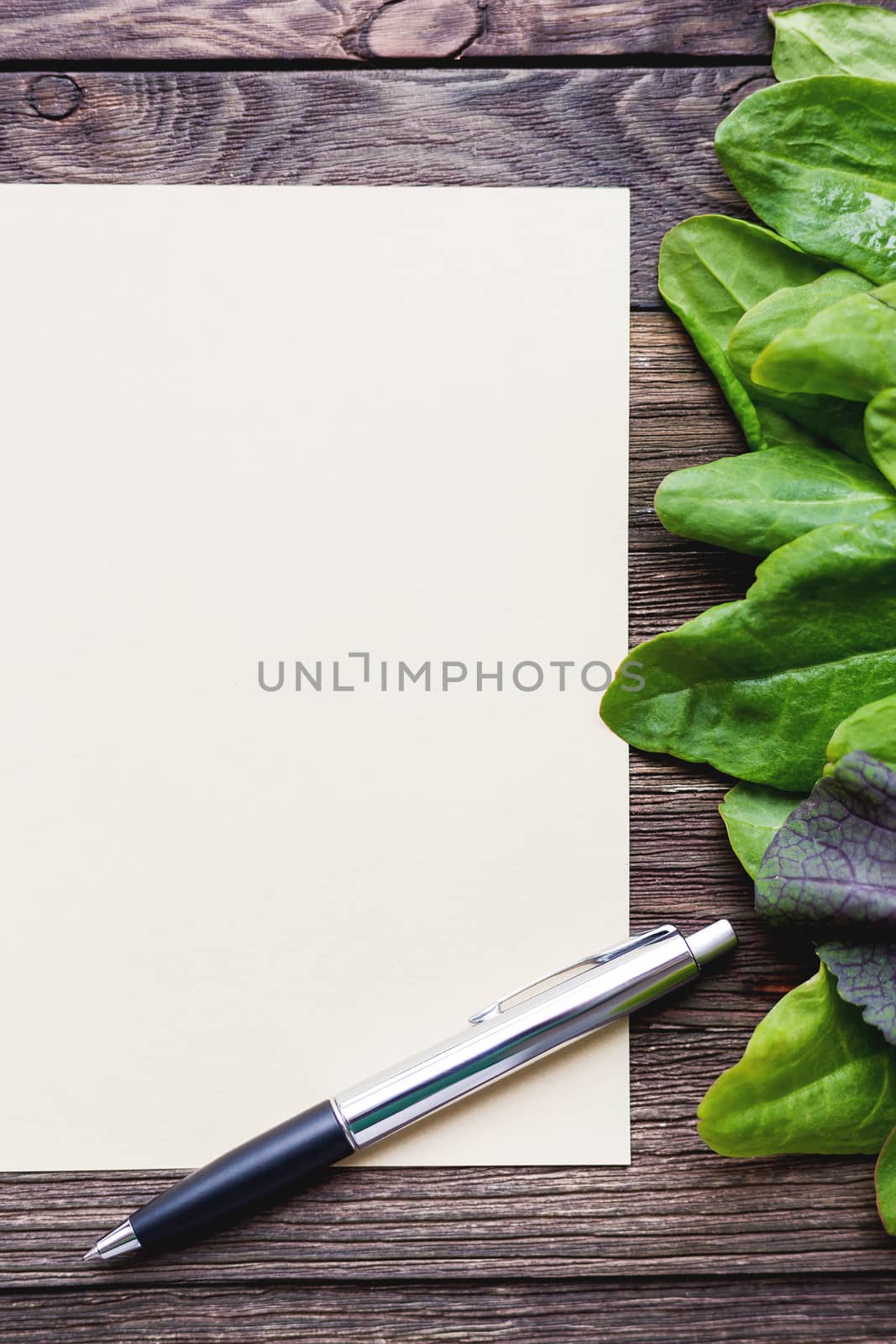 Fresh leaves of sorrel on wooden background. Rustic table with green and violet edible leaves. Place for text.