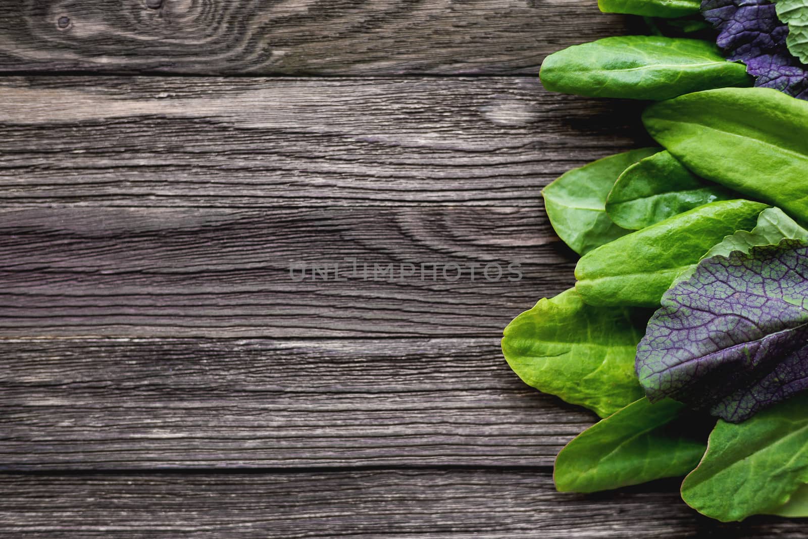 Fresh leaves of sorrel and salad on wooden background. Rustic table with green and violet edible leaves. Place for text.