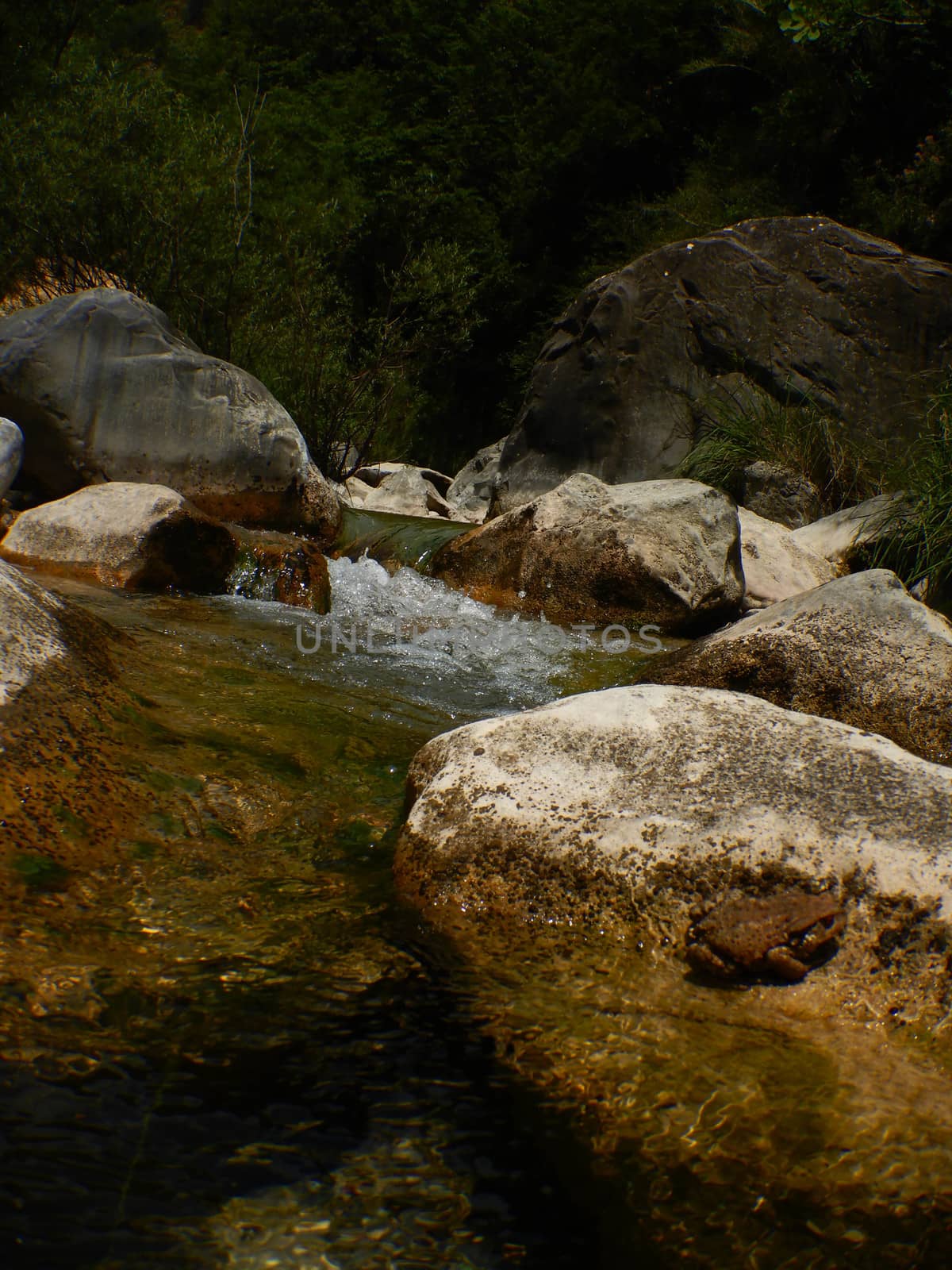 Creek Rio Barbaira in Rocchetta Nervina, Liguria - Italy by cosca