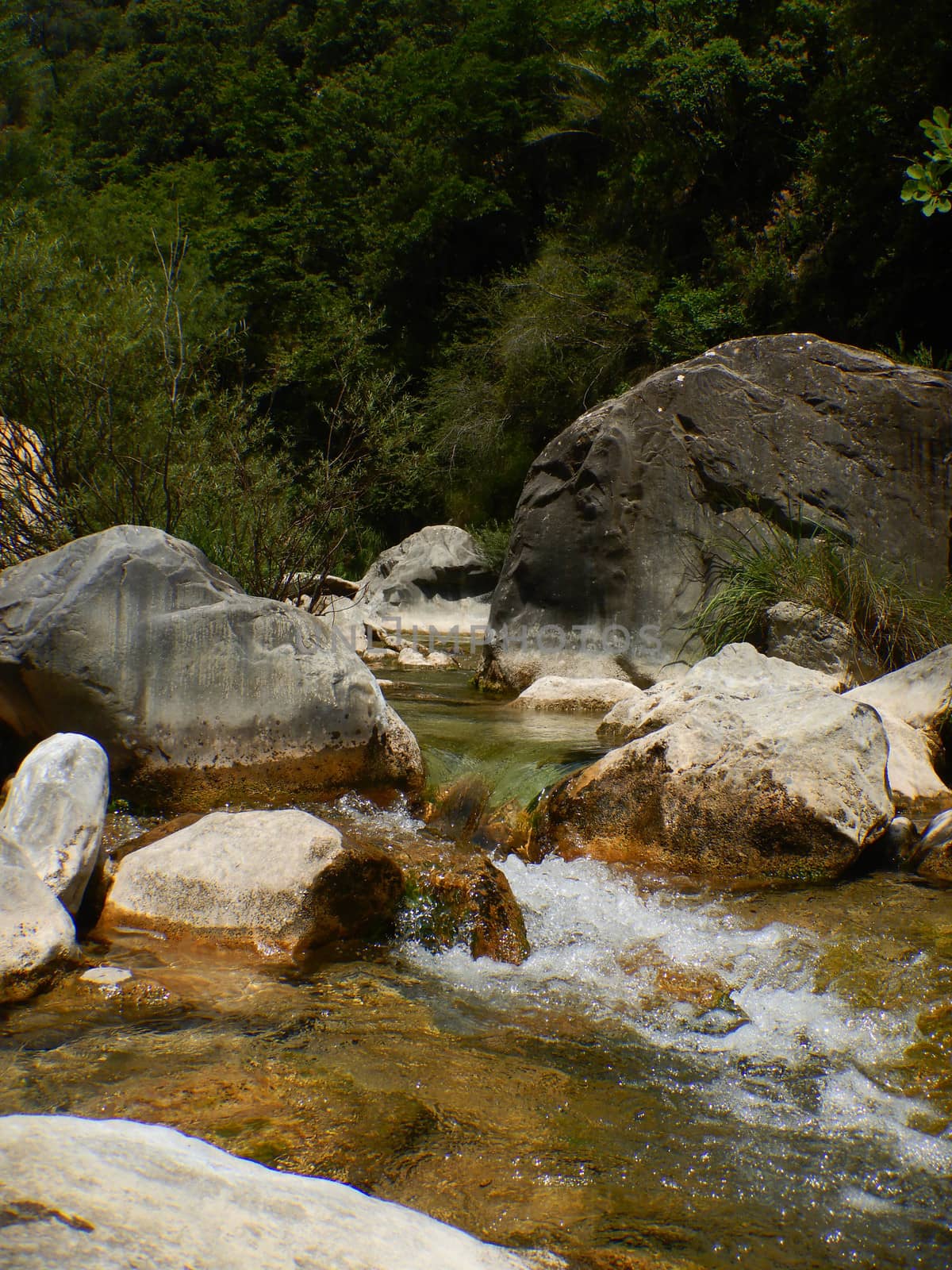 Creek Rio Barbaira in Rocchetta Nervina, Liguria - Italy by cosca