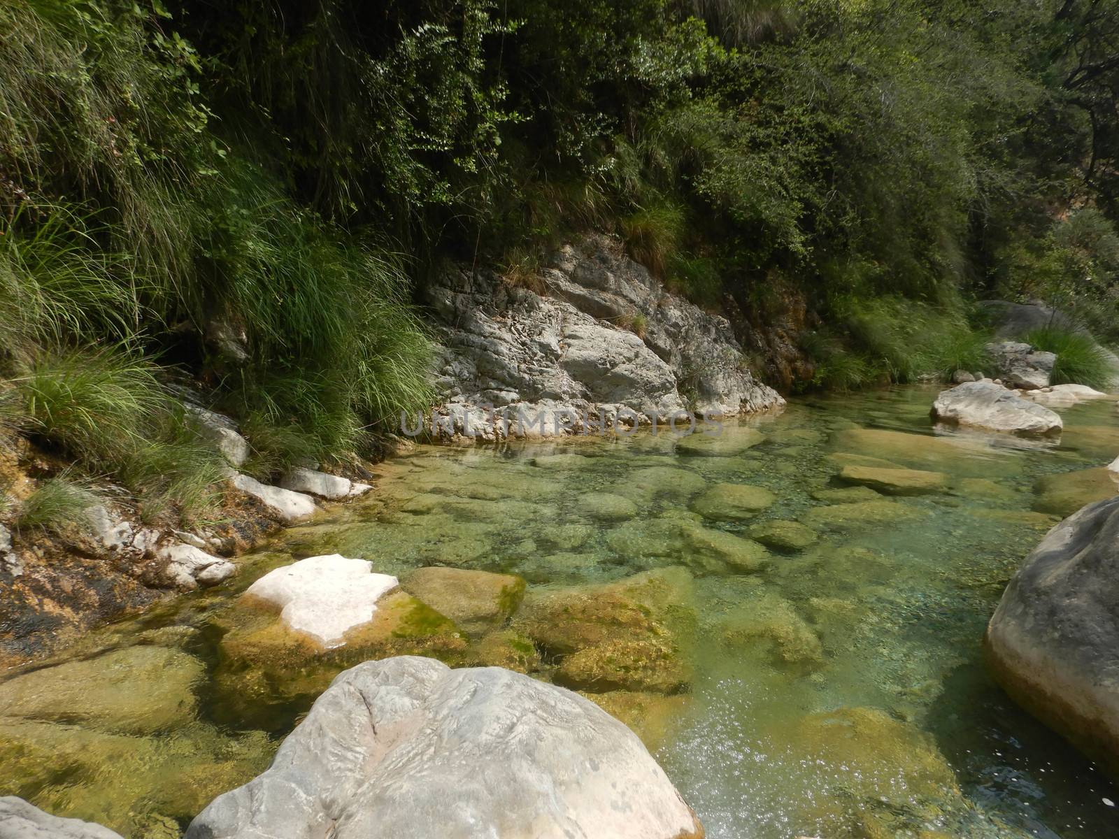 Creek Rio Barbaira in Rocchetta Nervina, Liguria - Italy by cosca