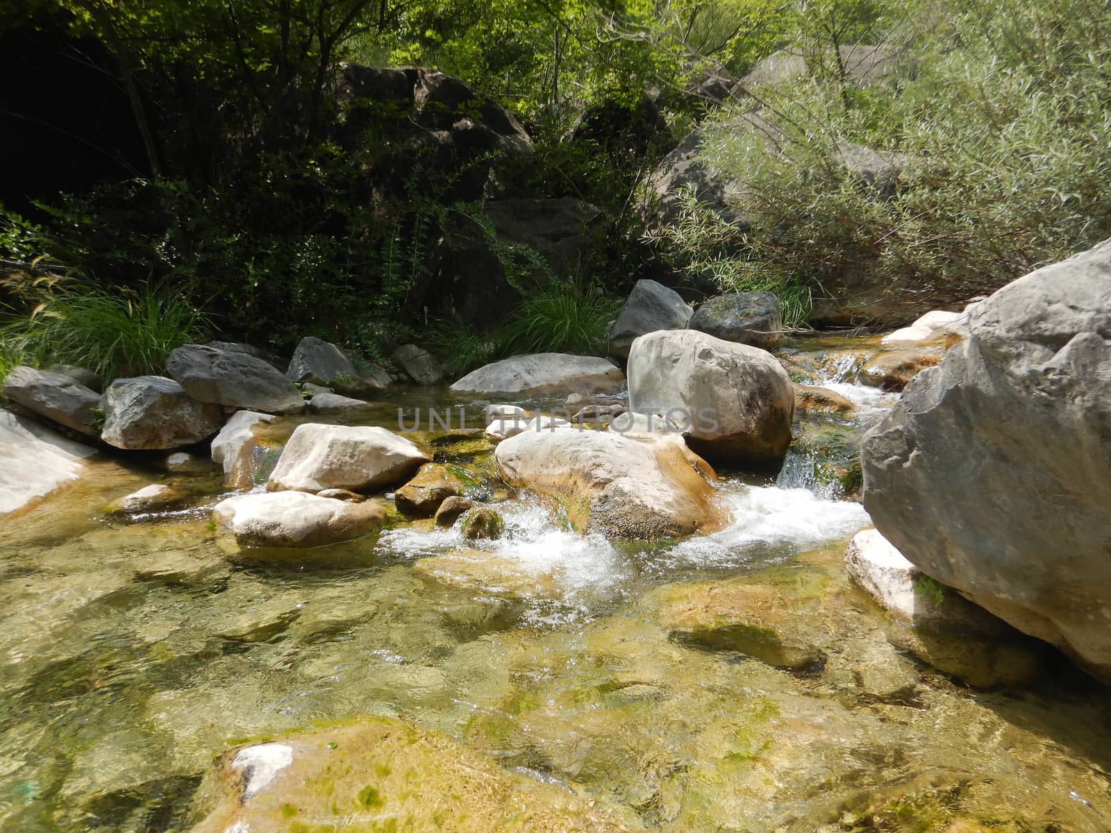 Rio Barbaira stream, Rocchetta Nervina, Liguria - Italy