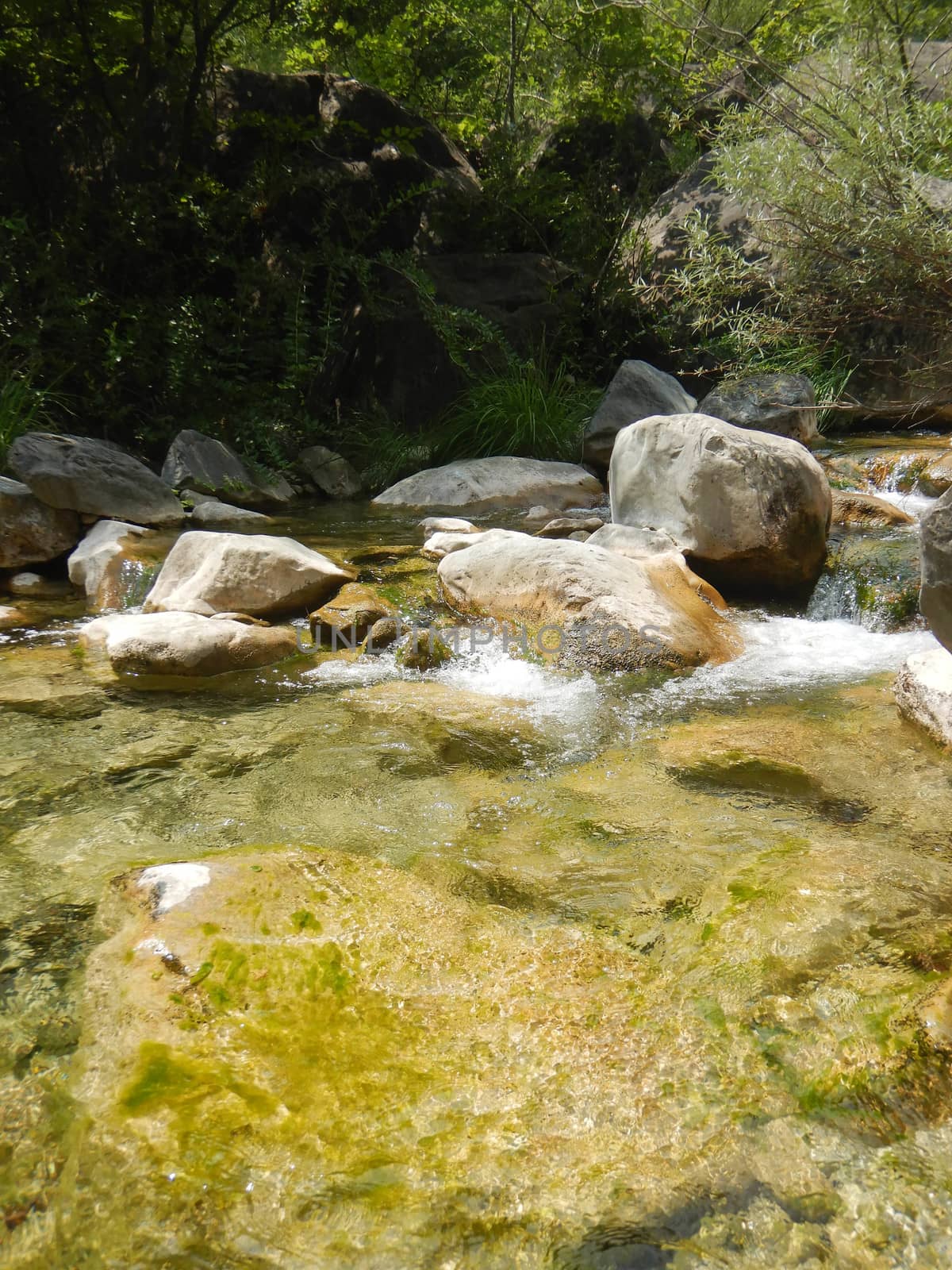 Creek near Rocchetta Nervina, Liguria - Italy by cosca