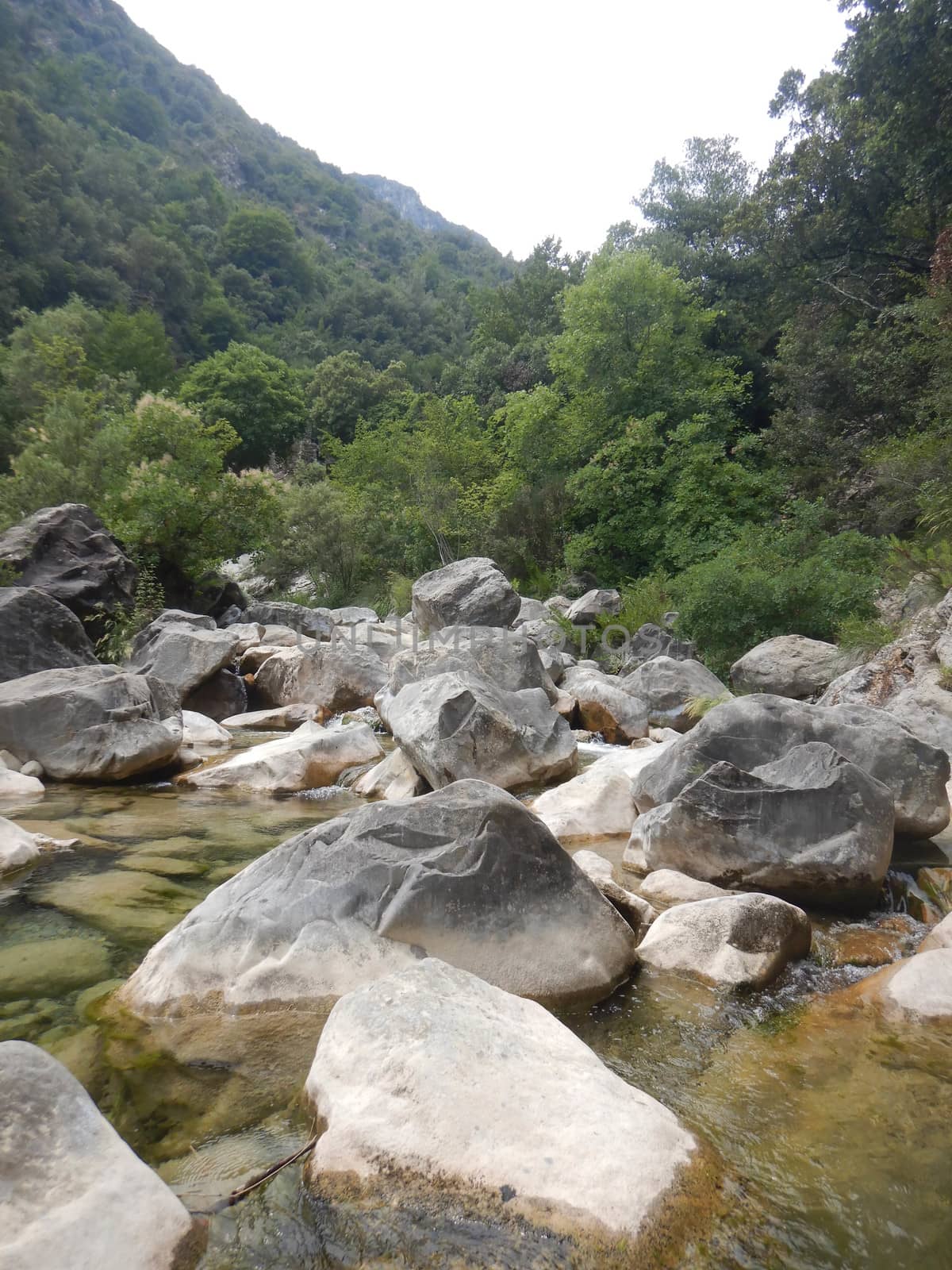 Creek Rio Barbaira in Rocchetta Nervina, Liguria - Italy by cosca