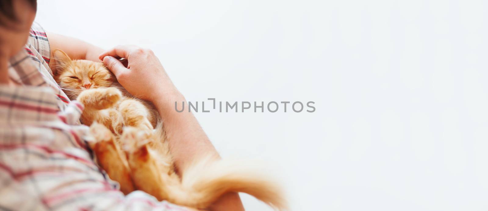 Man hugs cute ginger cat. Human and sleeping pet. White background with place for text.
