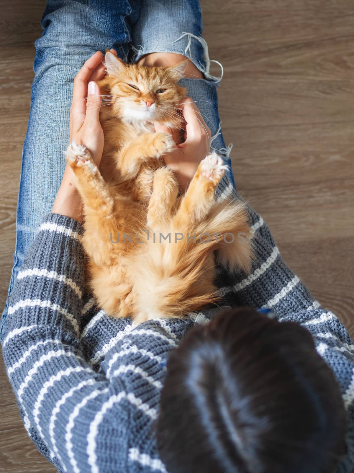 Cute ginger cat dozing on woman knees. Woman in torn jeans stroking her fluffy pet. Cozy home. Top view.