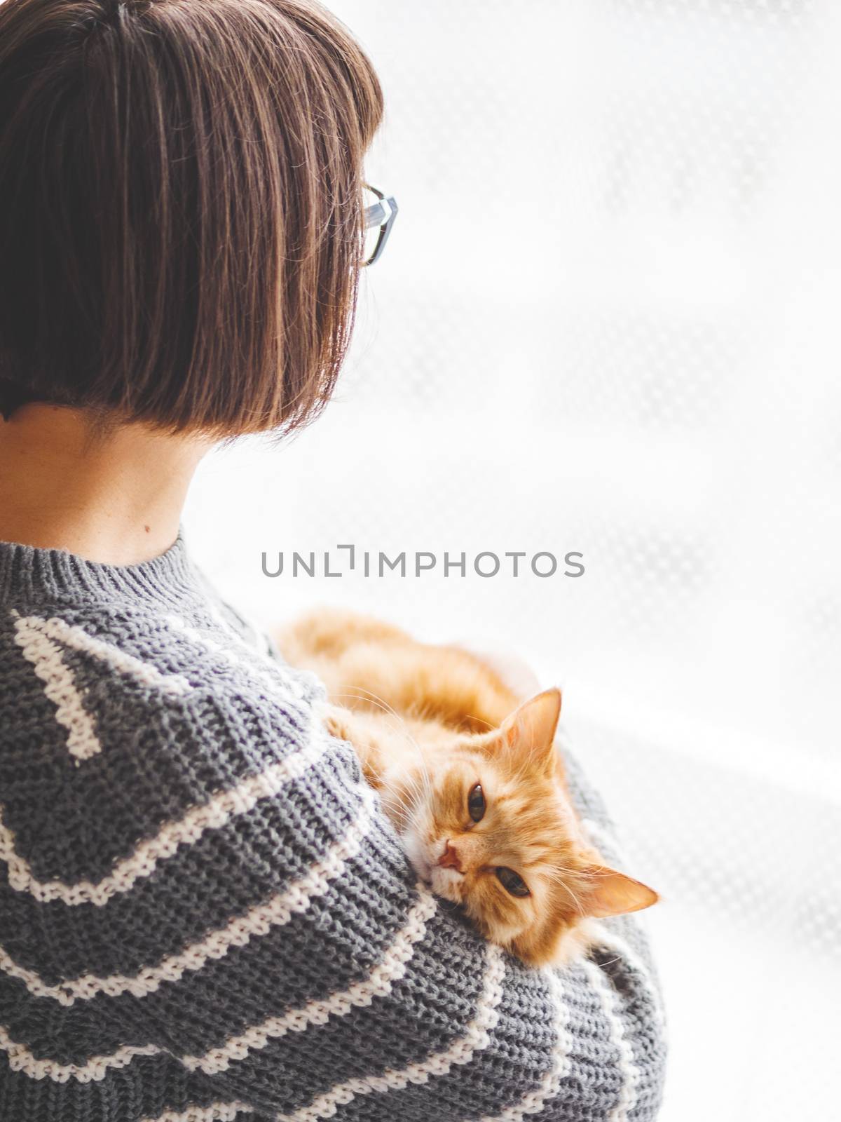 Cute ginger cat dozing on woman arms. Woman in grey knitted sweater stroking her fluffy pet. Cozy home.