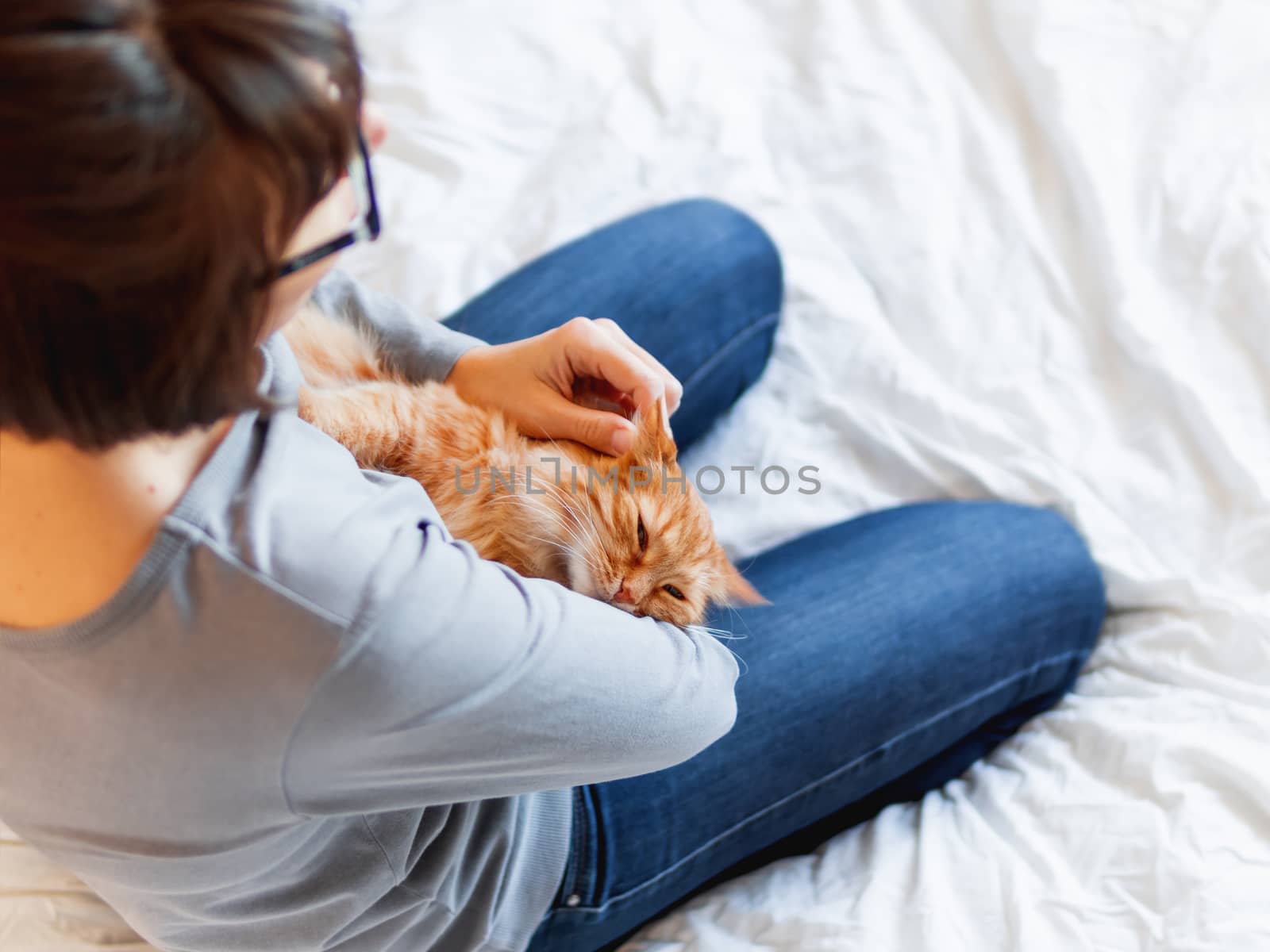 Cute ginger cat lies on woman's hands. Fluffy pet comfortably settled to sleep or to play. Cozy morning bedtime at home.