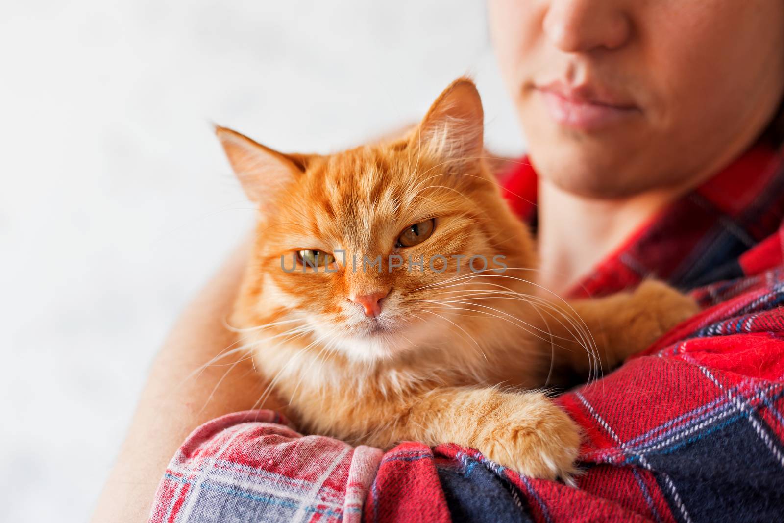 Man in red plaid tartan shirt holding an arrogant ginger cat.
