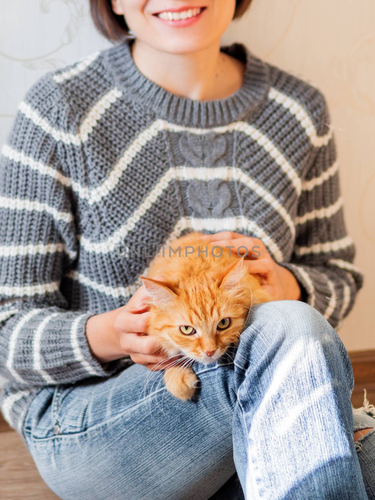 Cute ginger cat dozing on woman knees. Smiling woman in torn jeans stroking her fluffy pet. Cozy home.