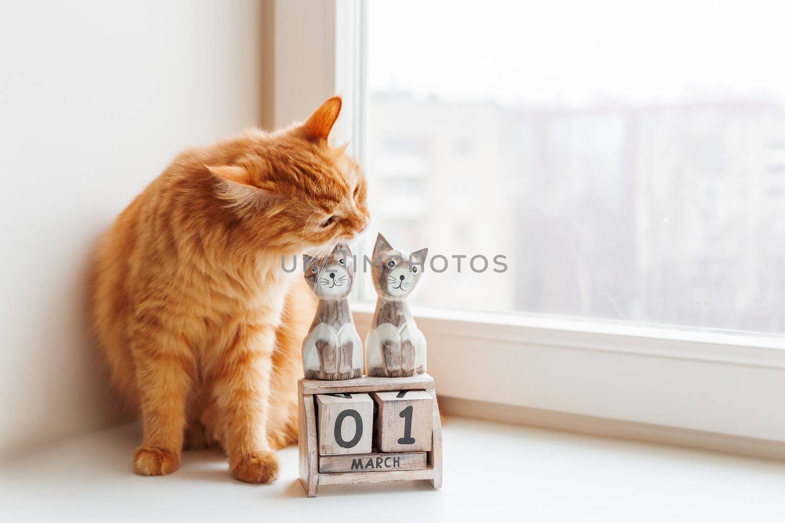 Cute ginger cat biting wooden calendar with cats and date March 1st. International Day of Cats.