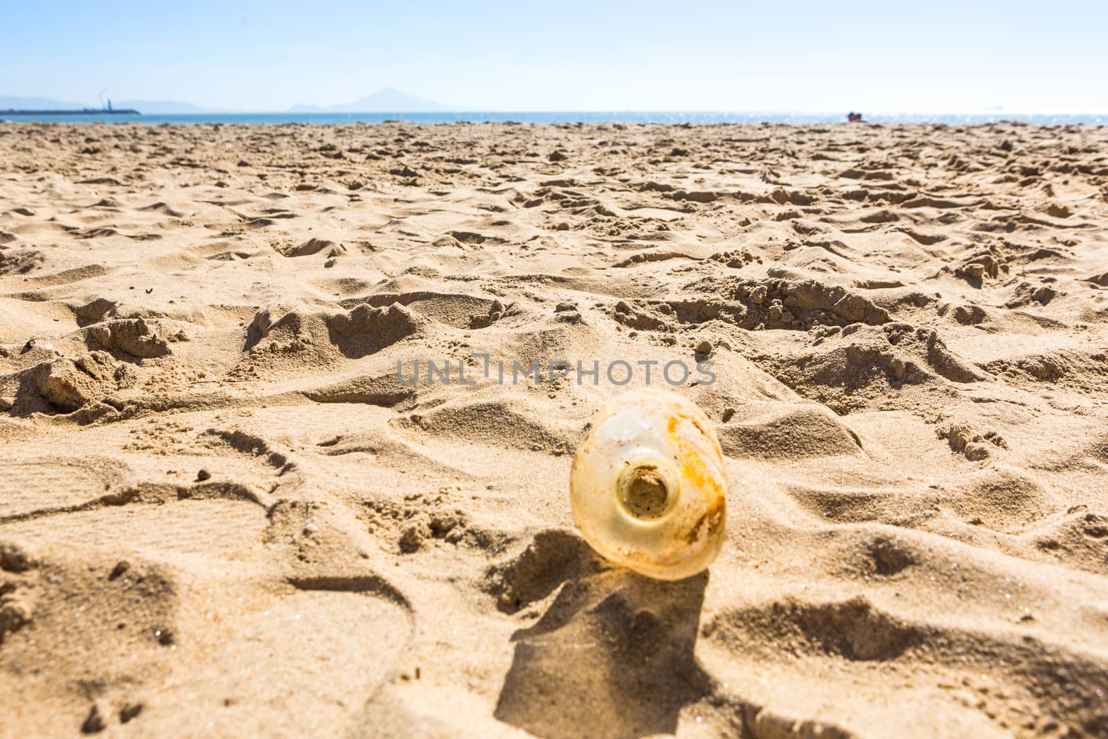 Beach Cleaning. Cleaning dirty beaches by the action of man. Sustainability of the planet and preservation of nature.