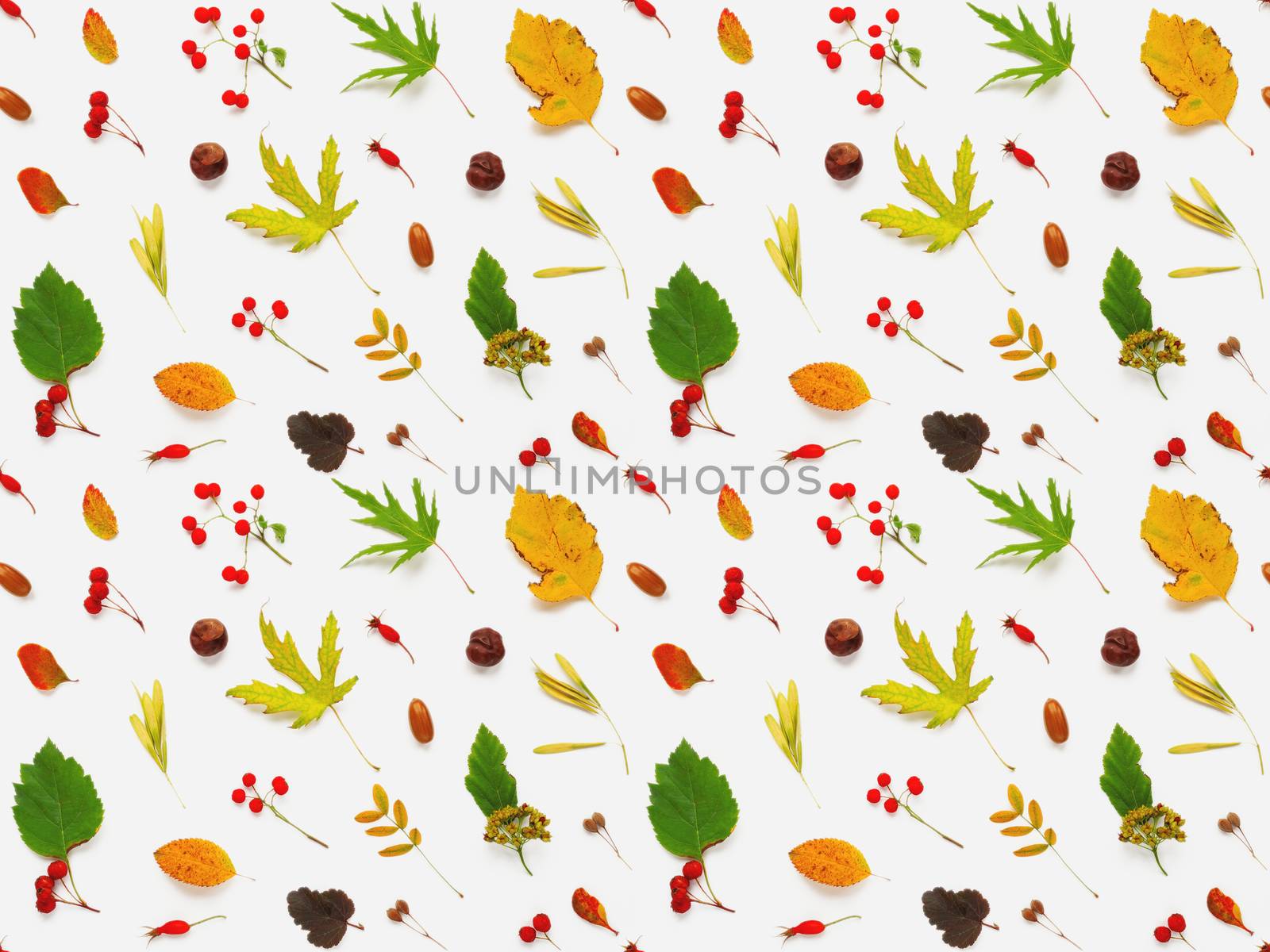 Seamless pattern made of fallen leaves and berries on white backdrop. Autumn plants background.