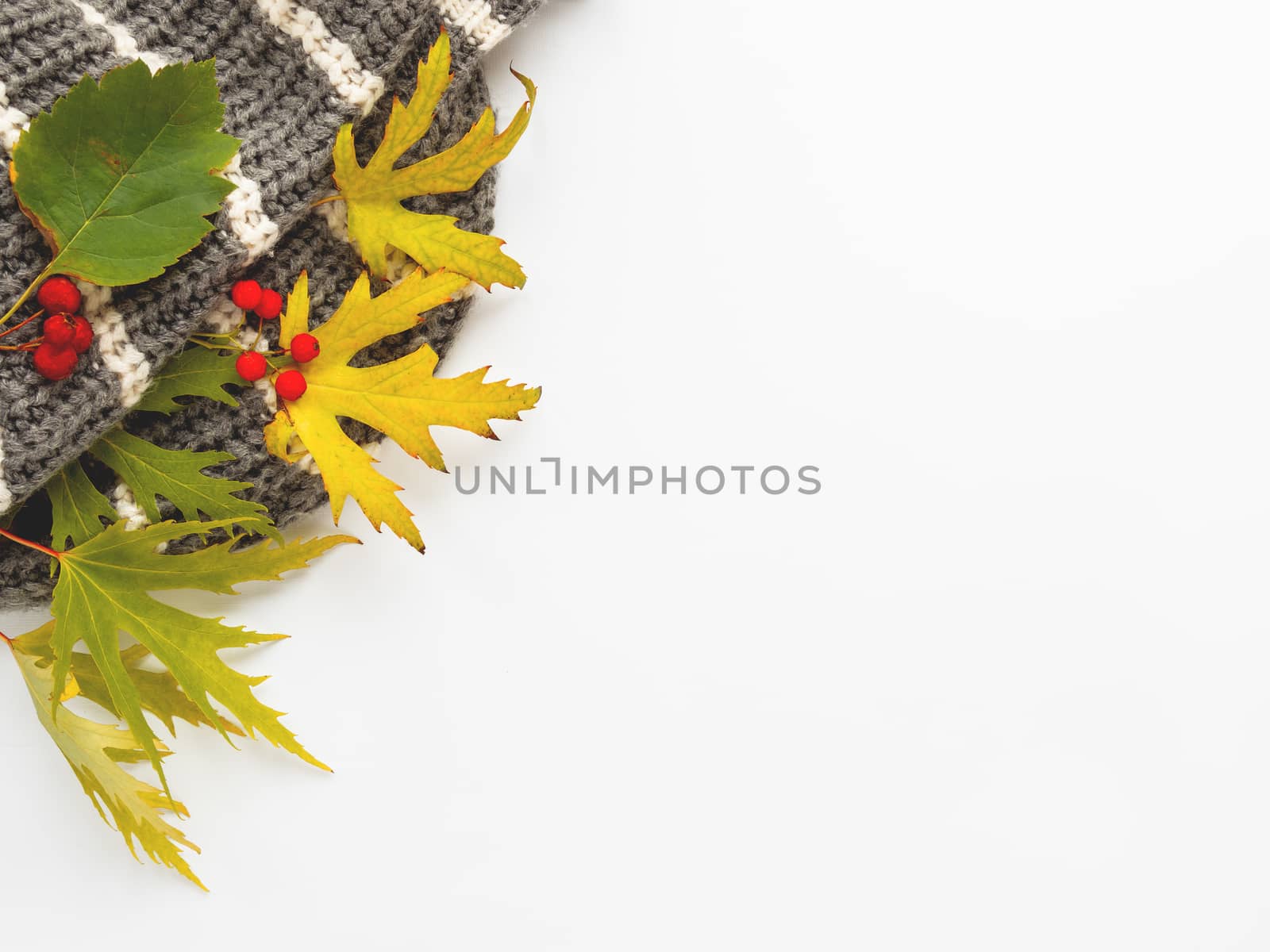 Grey knitted scarf with fallen leaves and berries on white background. Folded warm accessory with copy space.