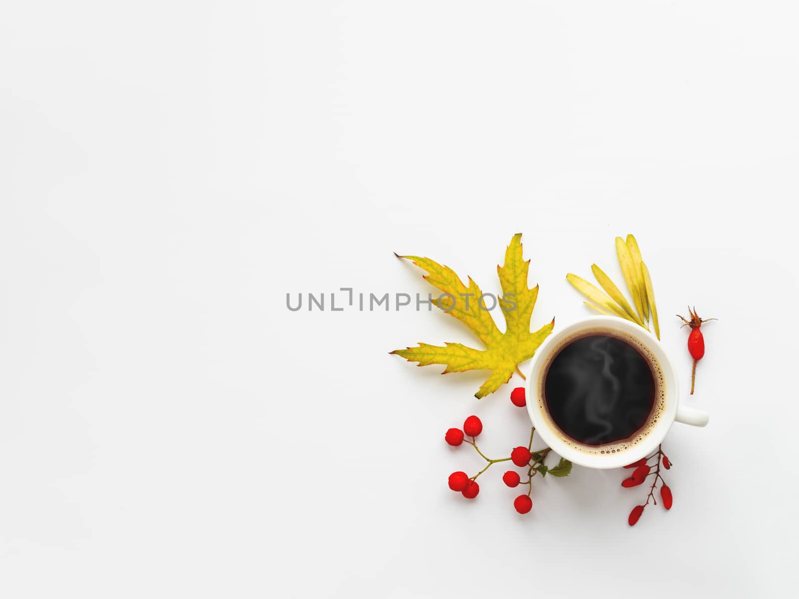 Cup of hot coffe with autumn leaves and berries on white background. Warm beverage in white mug with copy space.