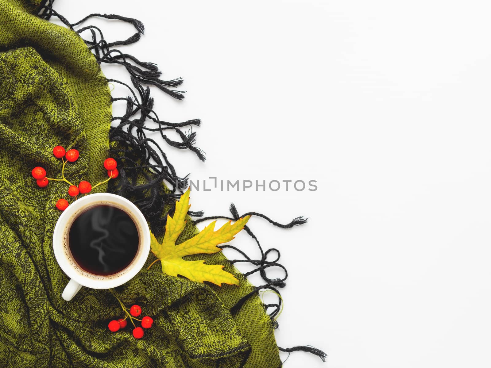 Green scarf with fallen leaves and berries on white background. White cup of hot coffee on folded warm accessory with copy space.