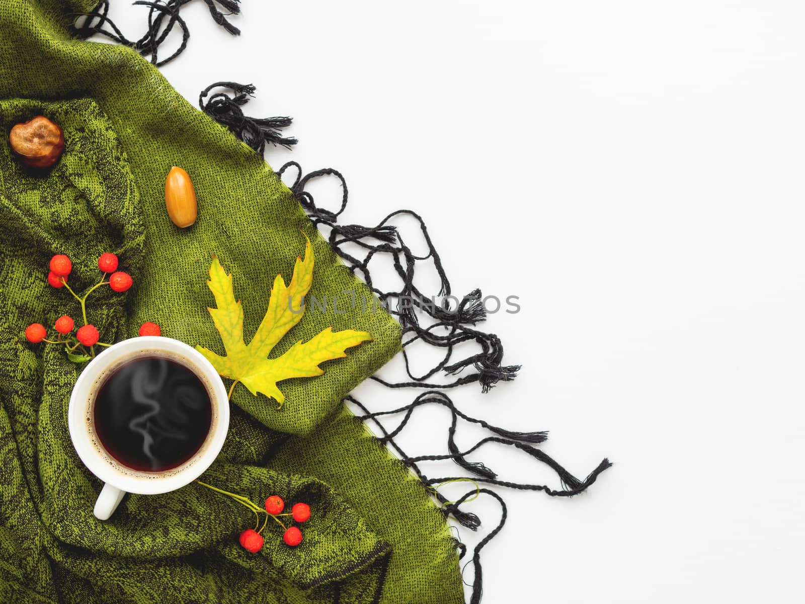 Green scarf with fallen leaves and berries on white background. White cup of hot coffee on folded warm accessory with copy space.