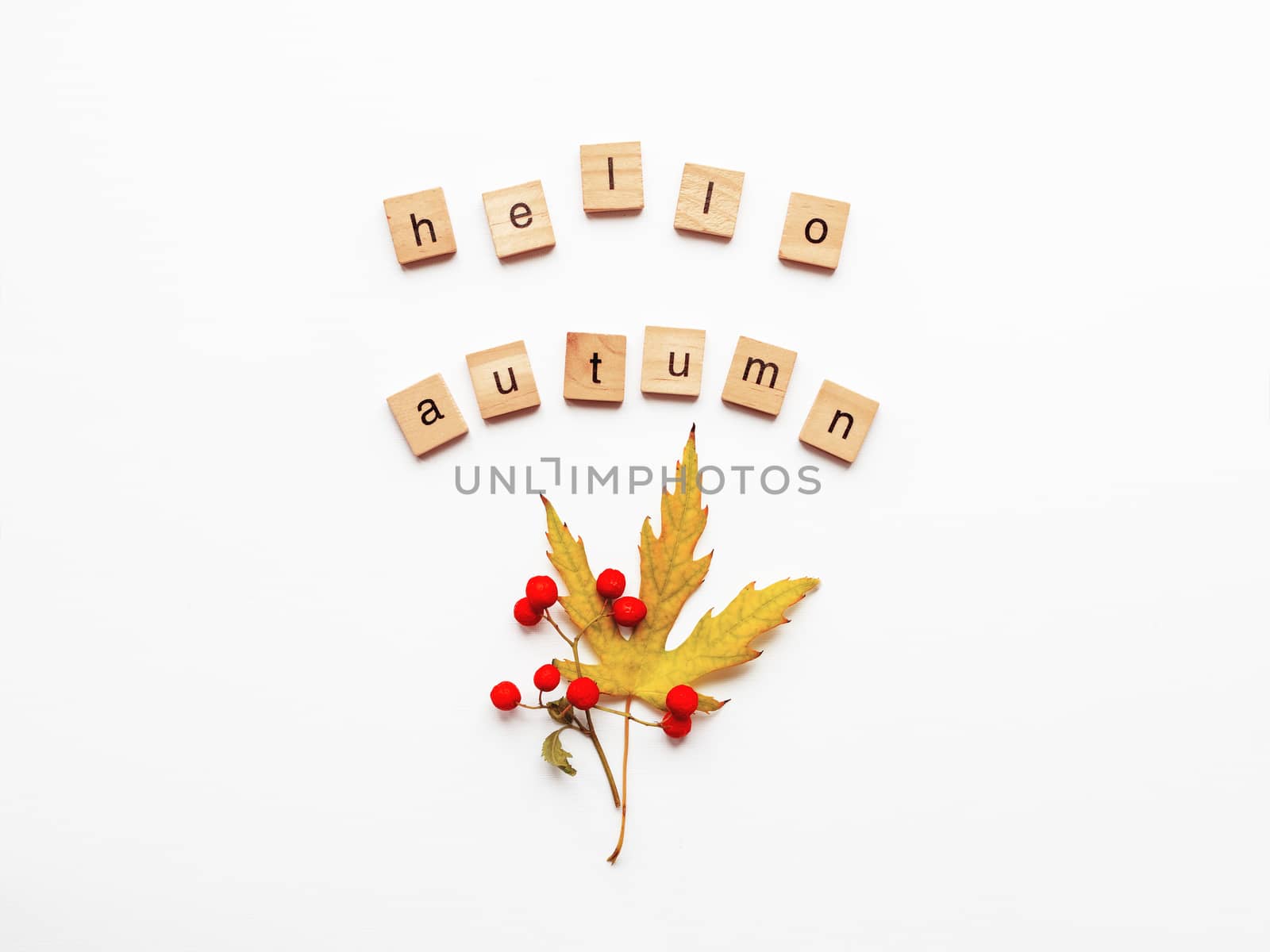 Autumn leaves and berries on white background. Words HELLO AUTUMN. Seasonal greeting with copy space.