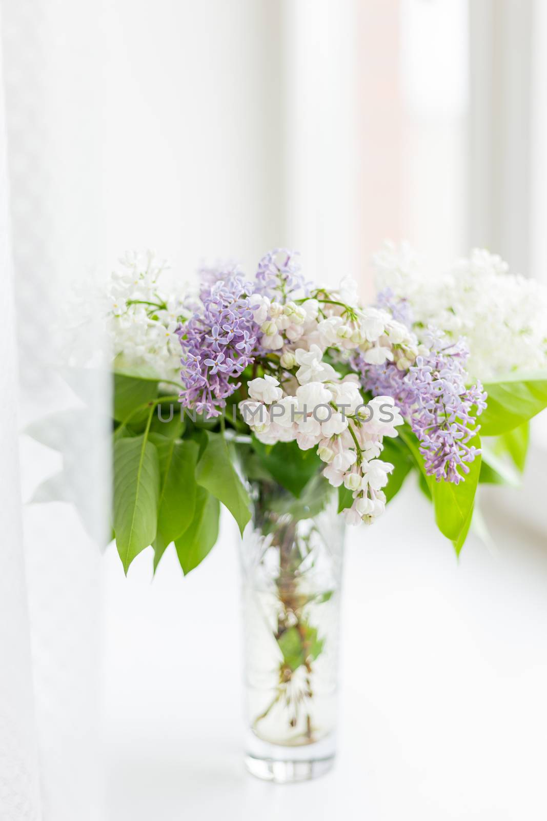 Lilac flowers in glass vase on window sill. Natural spring background with white and violet flowers.