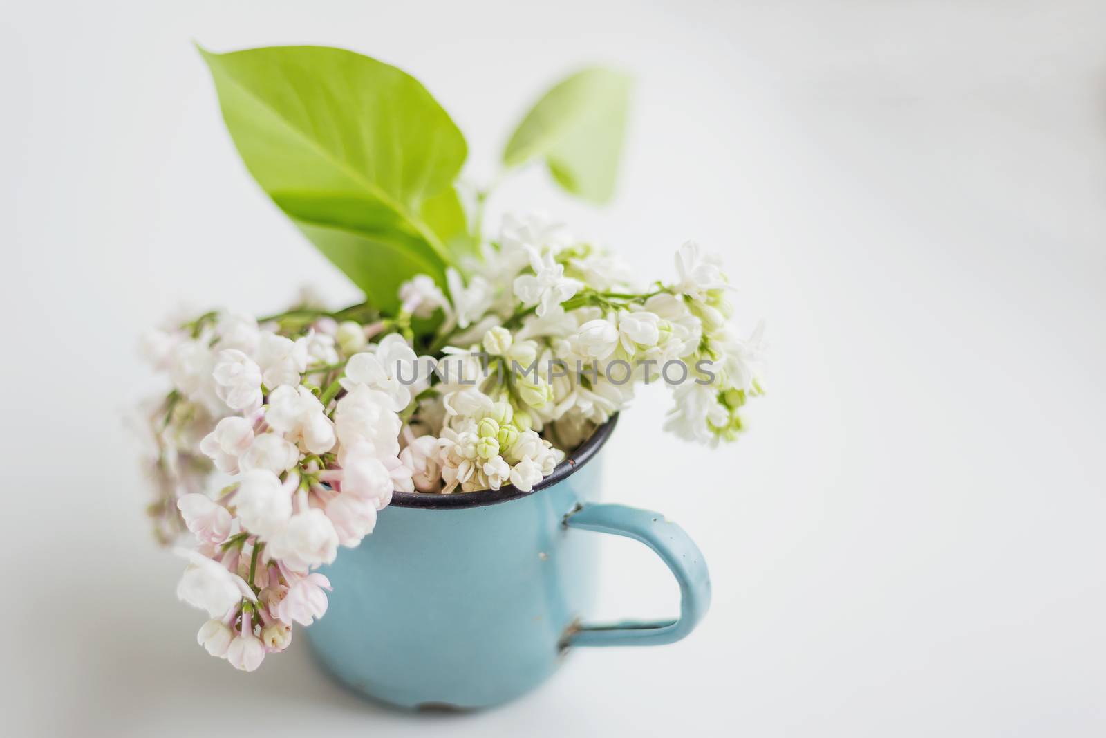 Lilac (Syr�nga) flowers in old rusty mug. Natural spring background with white and violet flowers in rustic cup. Place for text.