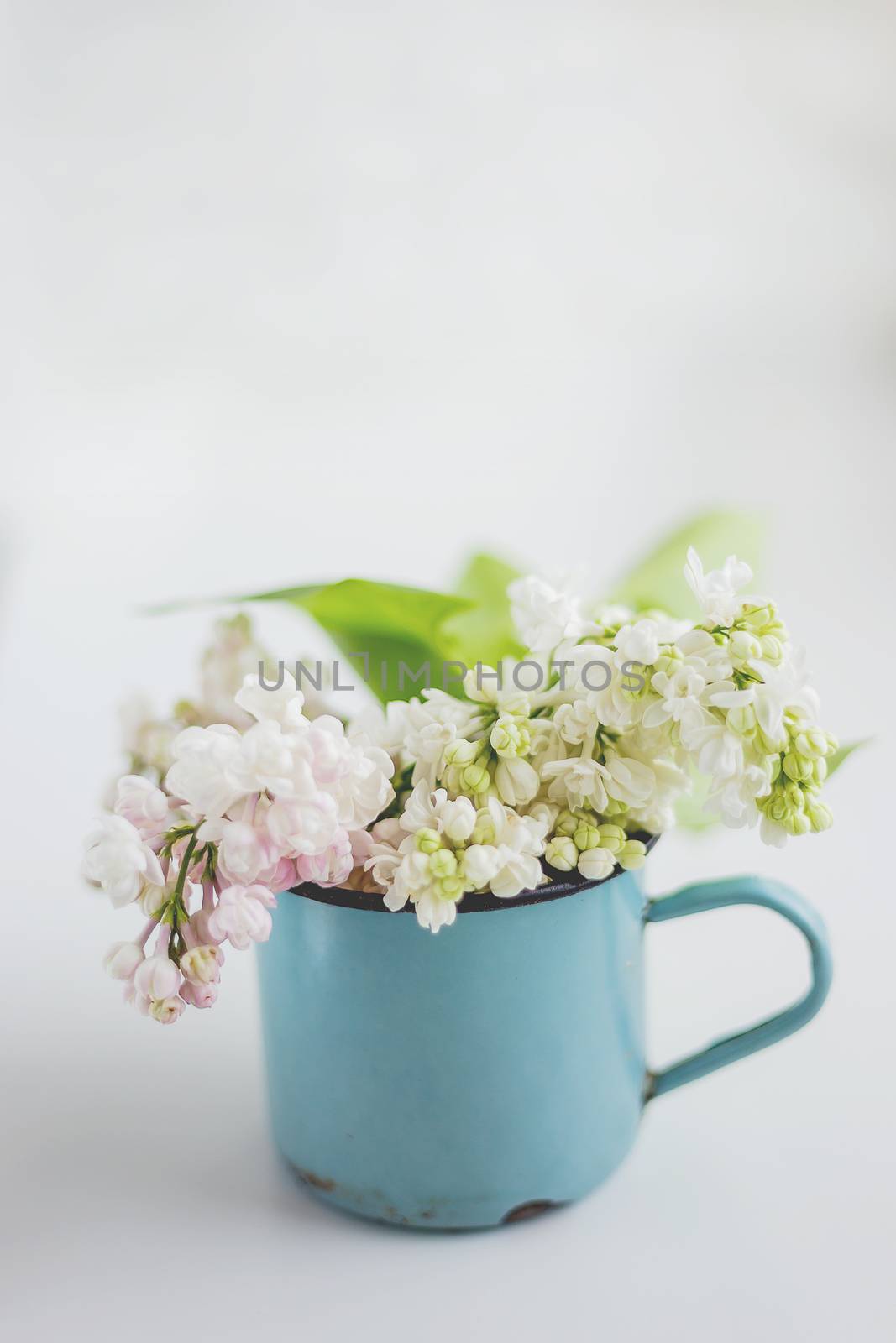 Lilac (Syr�nga) flowers in old rusty mug. Natural spring background with white and violet flowers in rustic cup. Place for text.