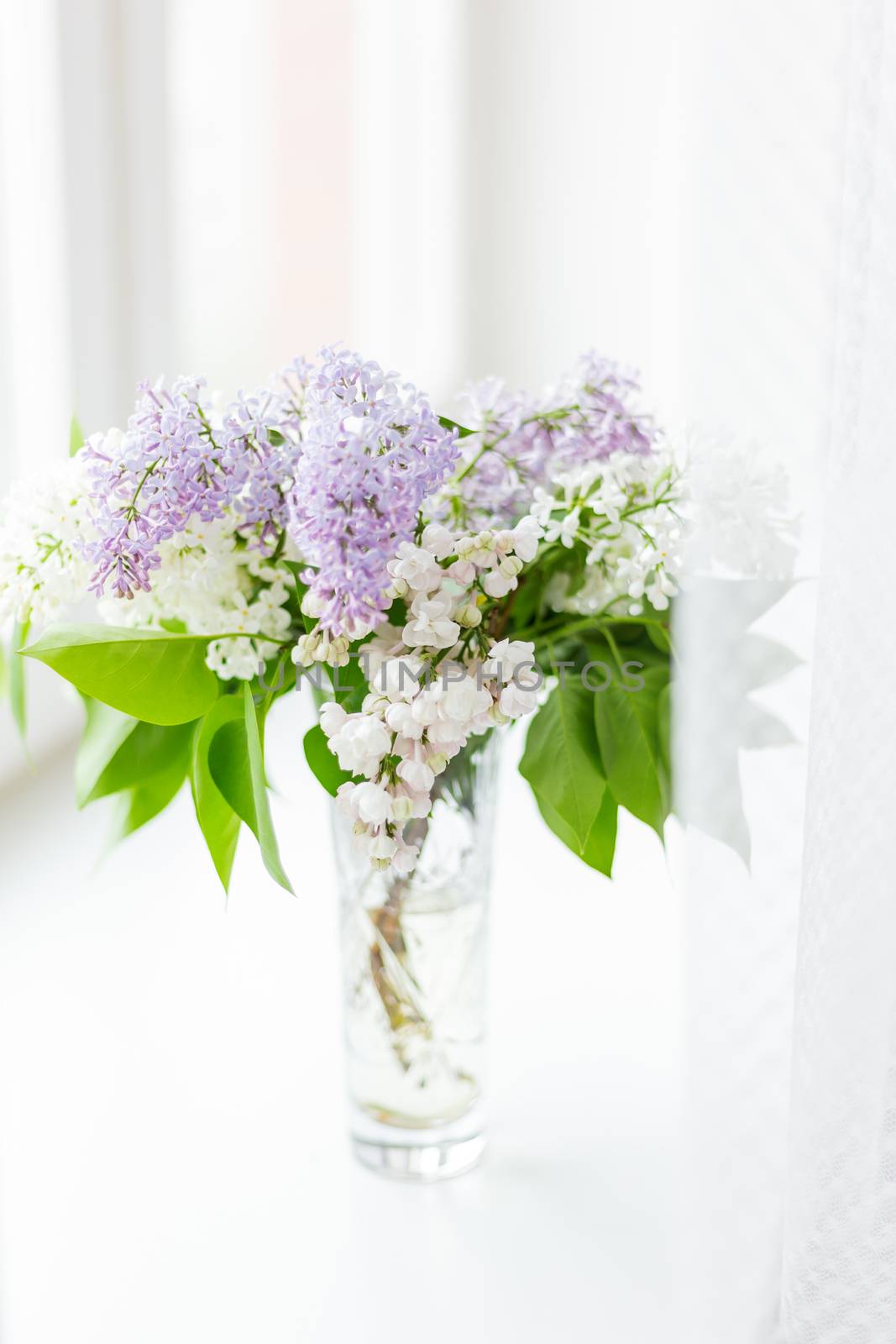 Lilac flowers in glass vase on window sill. Natural spring background with white and violet flowers.