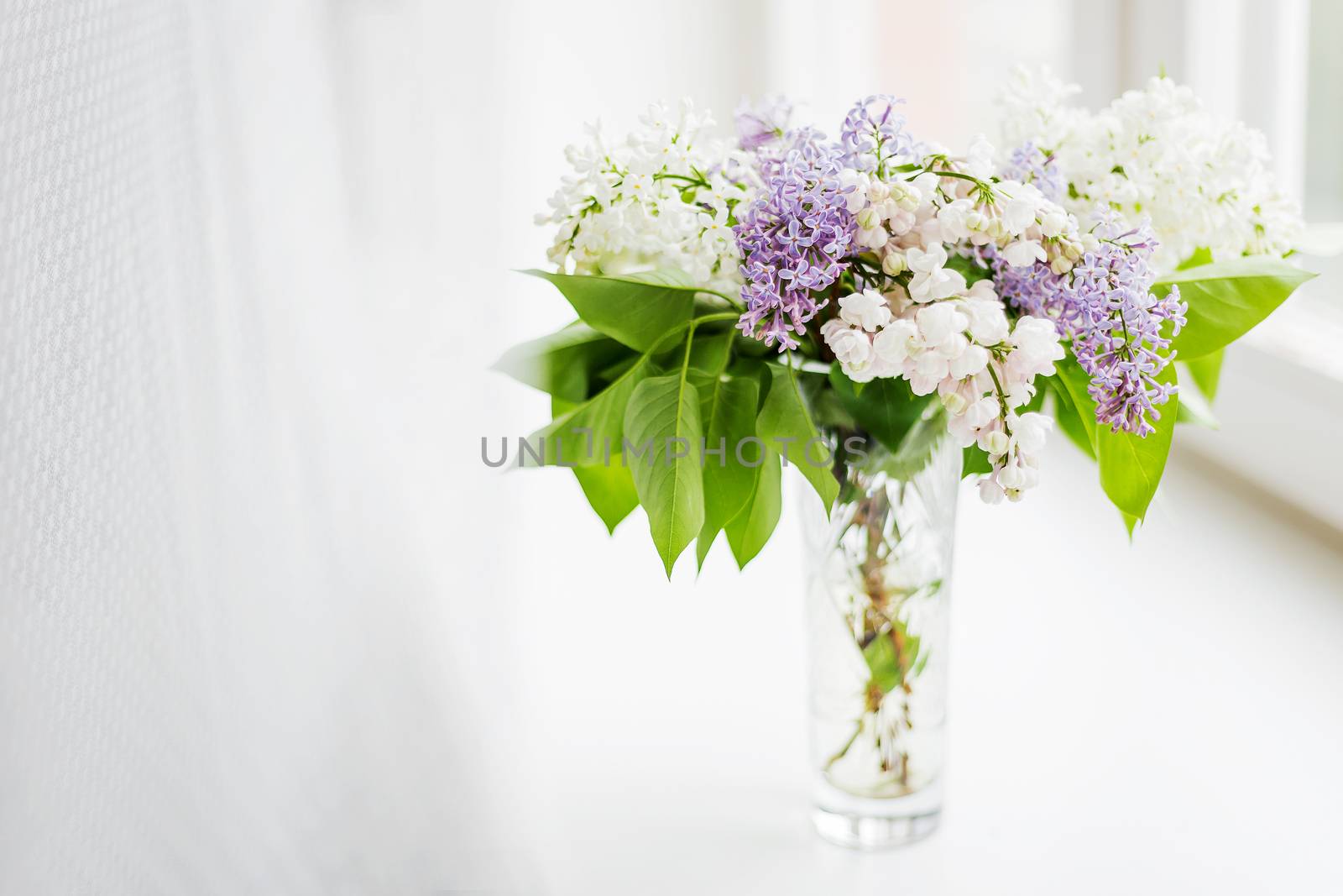 Lilac flowers in glass vase on window sill. Natural spring background with white and violet flowers.