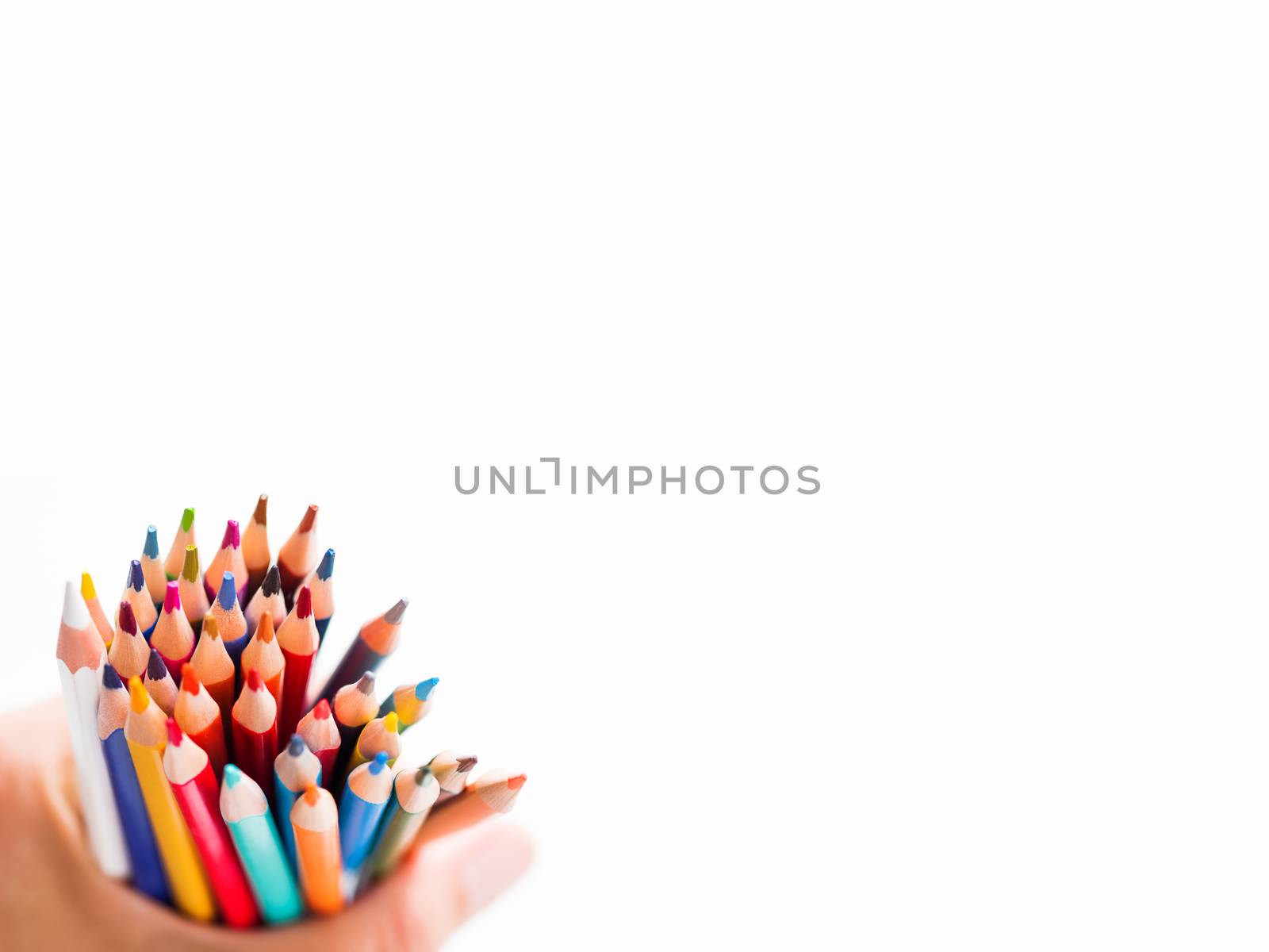 Hand with bunch of colorful pencils on white background. School supplies on white background. Kid's stationery. Back to school copy space backdrop.