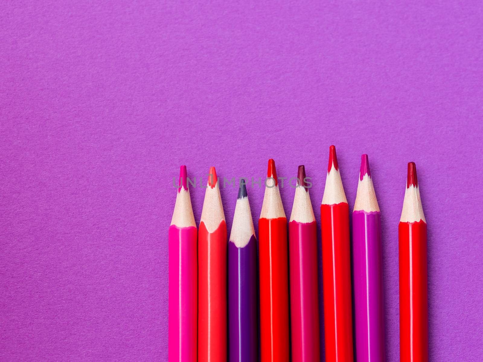 Vertical row of red and magenta pencils on purple paper background. School supplies. Kid's stationery with lilac copy space. Back to school pink backdrop.